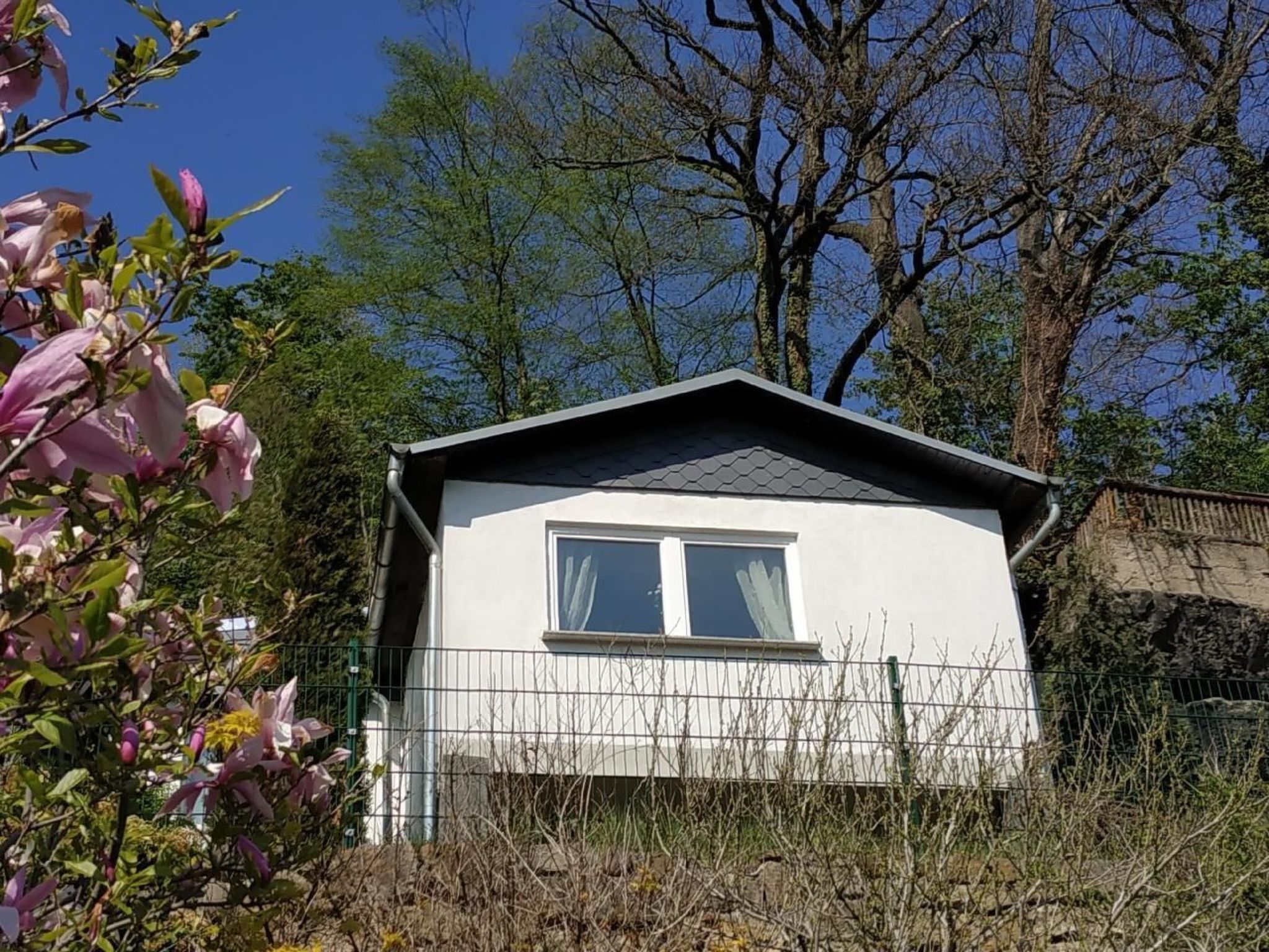 In Pirna mit Schöner Terrasse-Drinnen