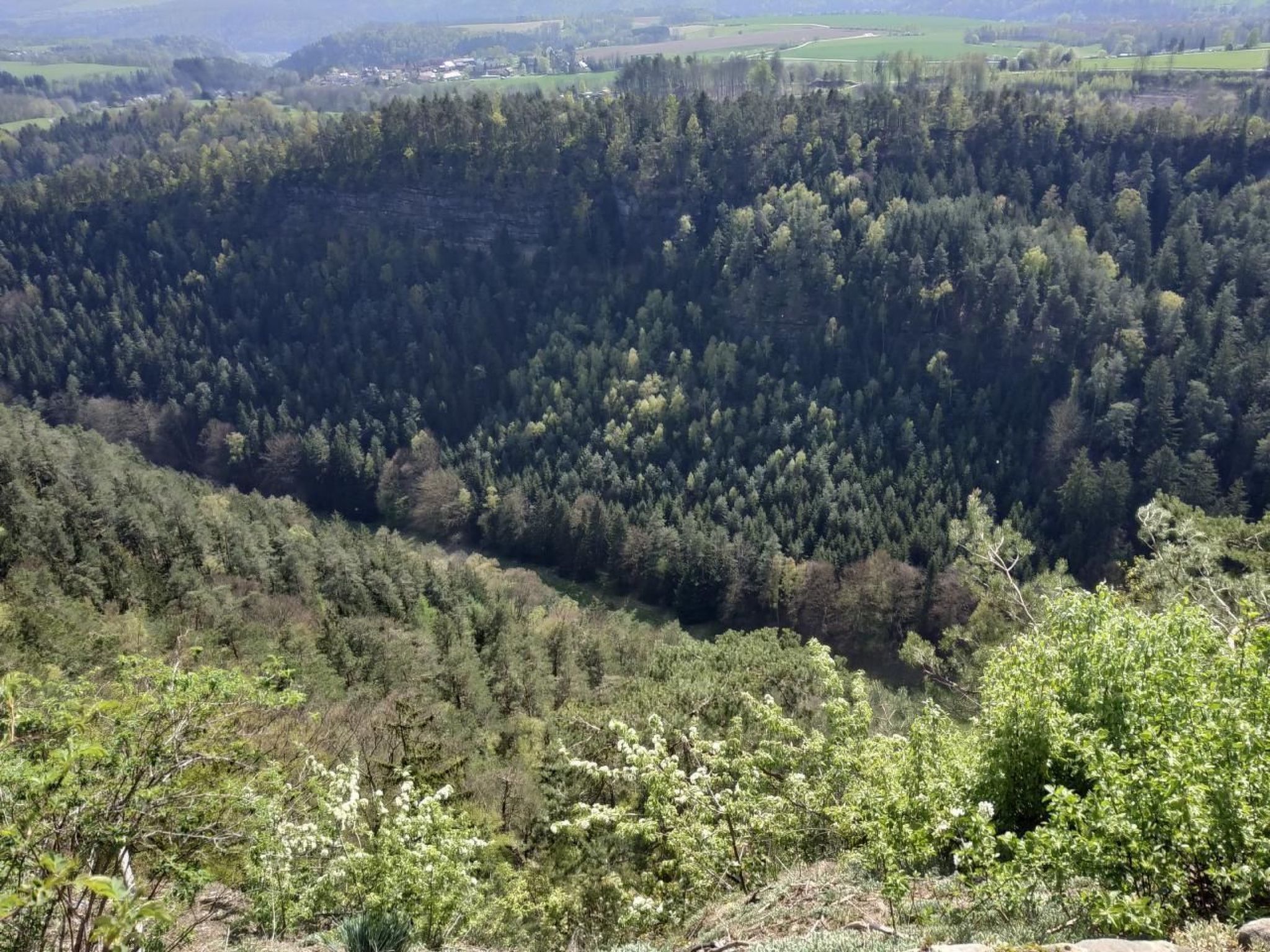 In Pirna mit Schöner Terrasse-Drinnen