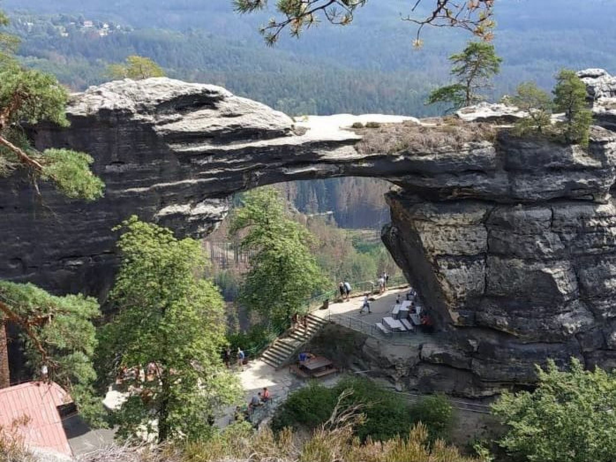 Dittrich in Pirna-Drinnen