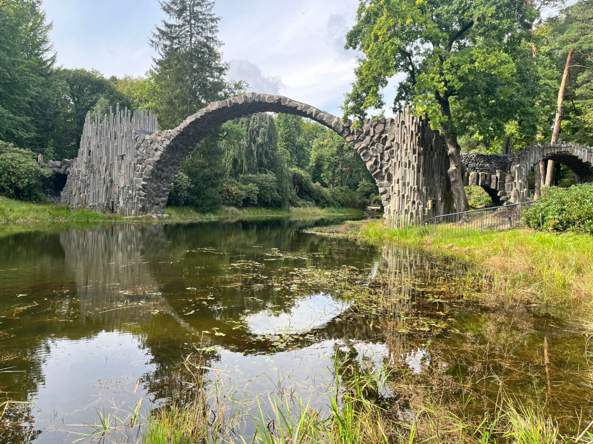 Dittrich in Pirna-Drinnen