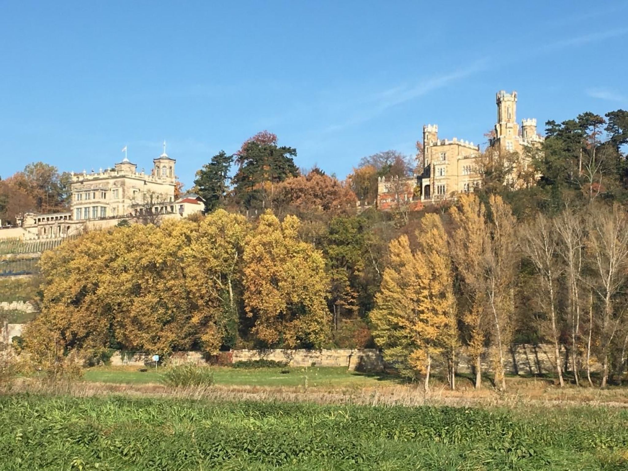 Dittrich in Pirna-Drinnen