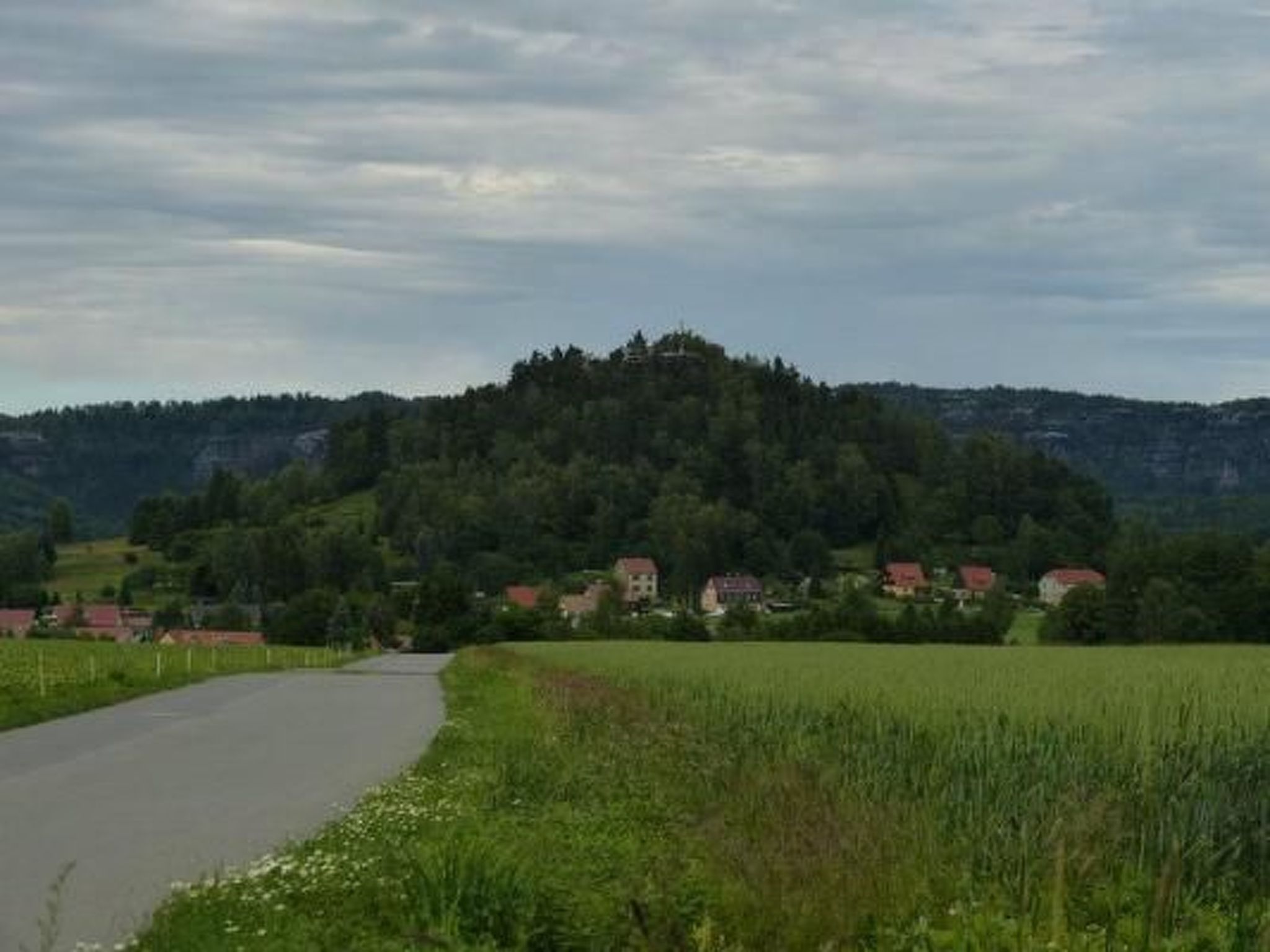 Hirsch-Image-tags.info