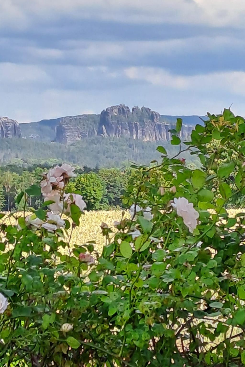 Schöne Ferienwohnung mit Garten und Grill-Drinnen