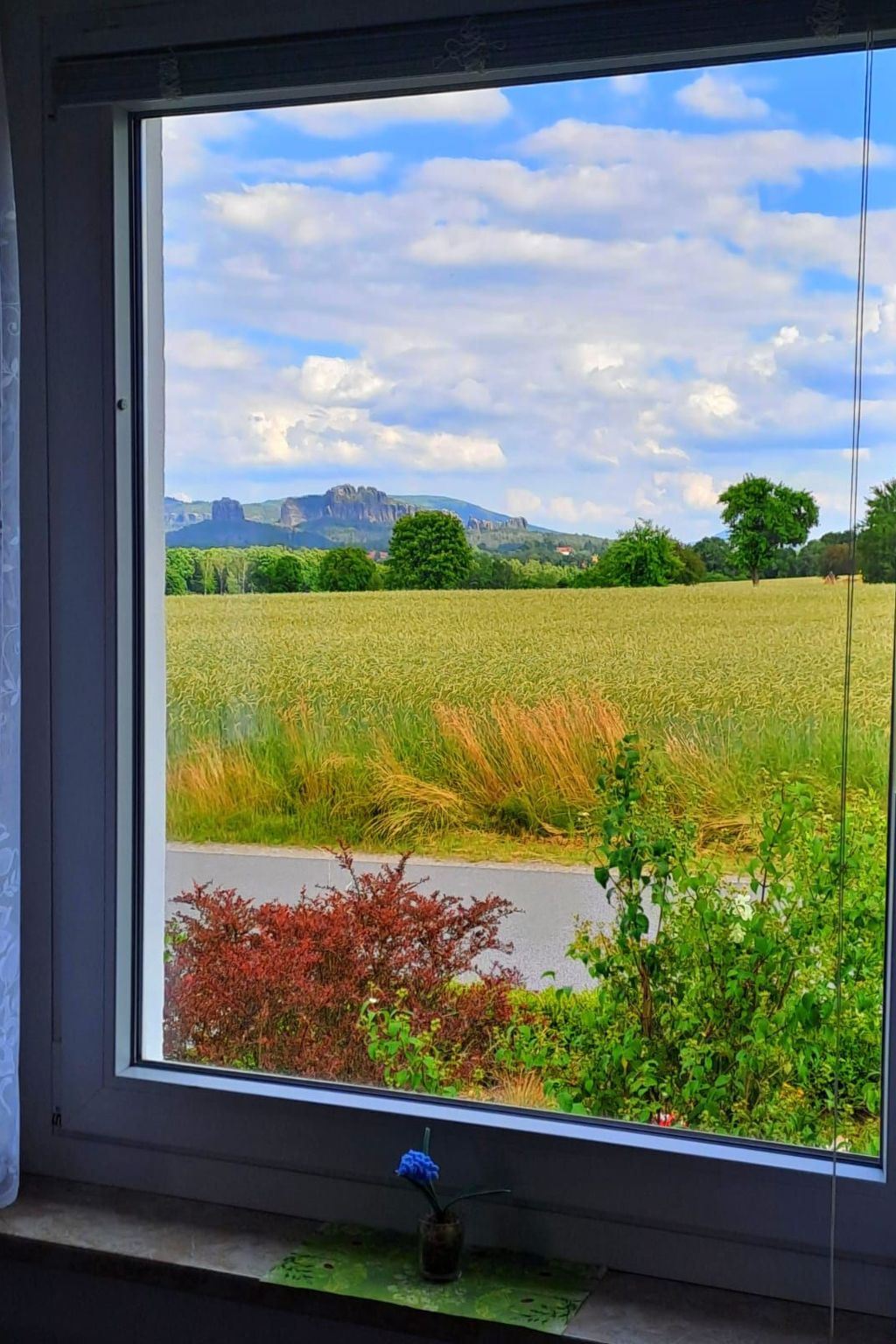 Schöne Ferienwohnung mit Garten und Grill-Drinnen