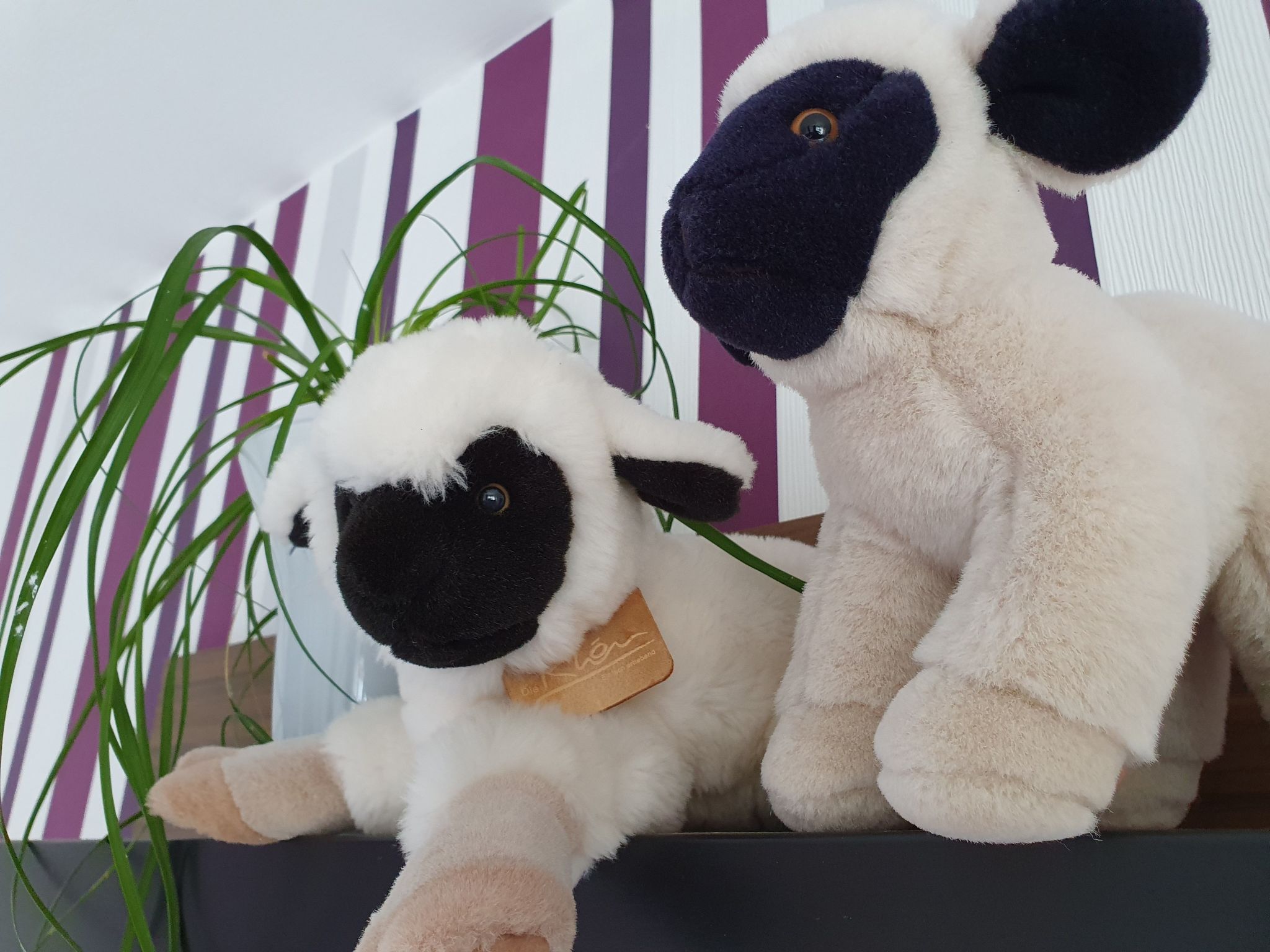 Casa Maria in Ehrenberg an der Rhön-Binnen