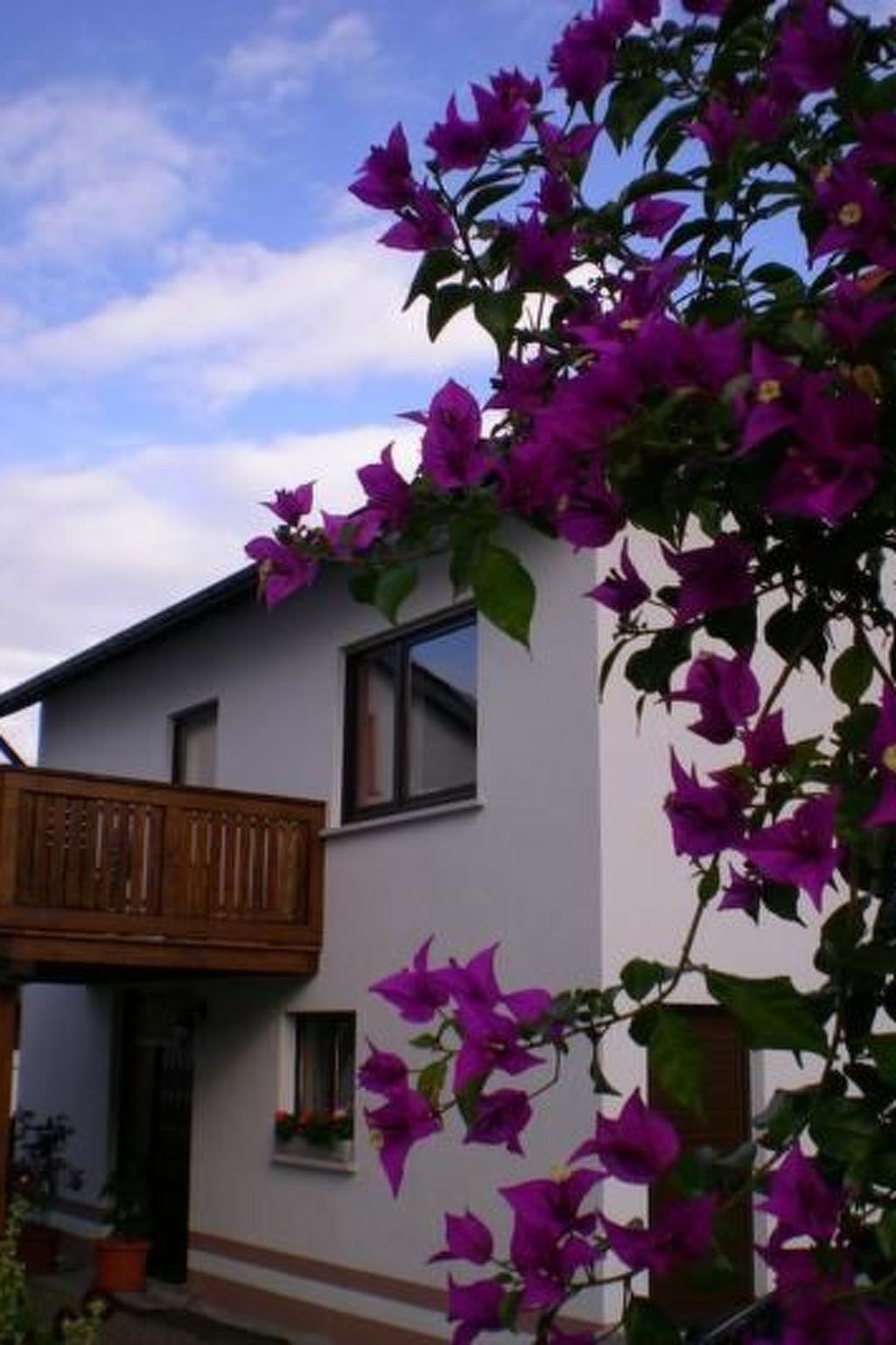 Casa Maria in Ehrenberg an der Rhön-Binnen