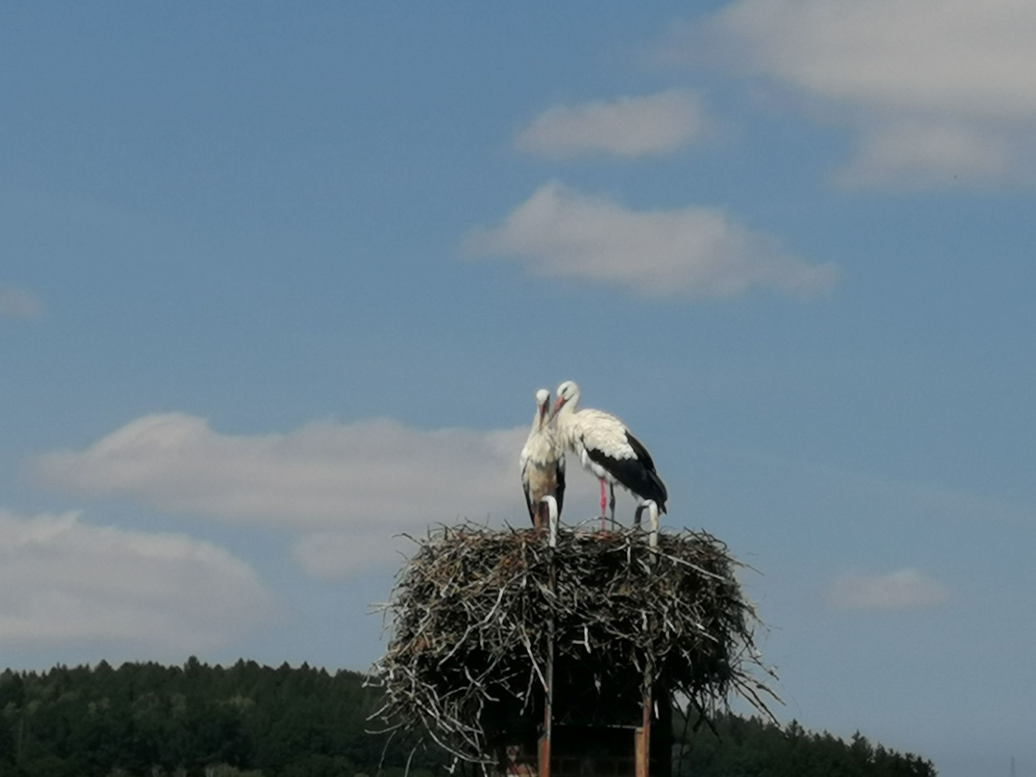 Ferienwohnung Naturblick Karla Rößler-Dehors