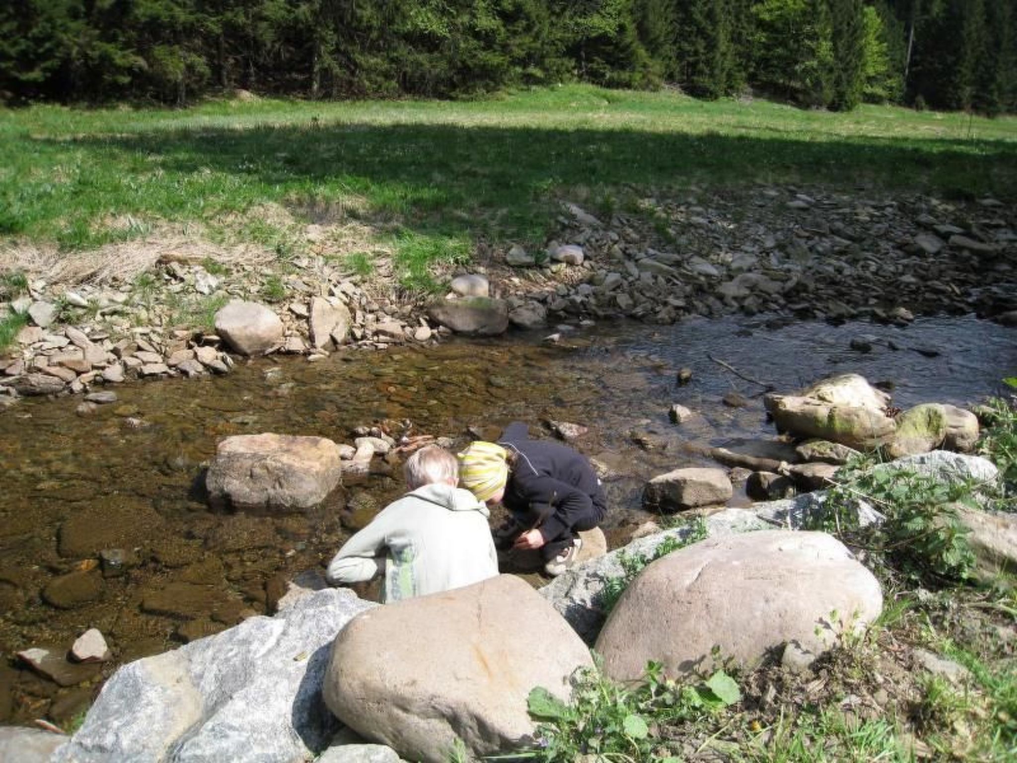 Kammbaude-Image-tags.info