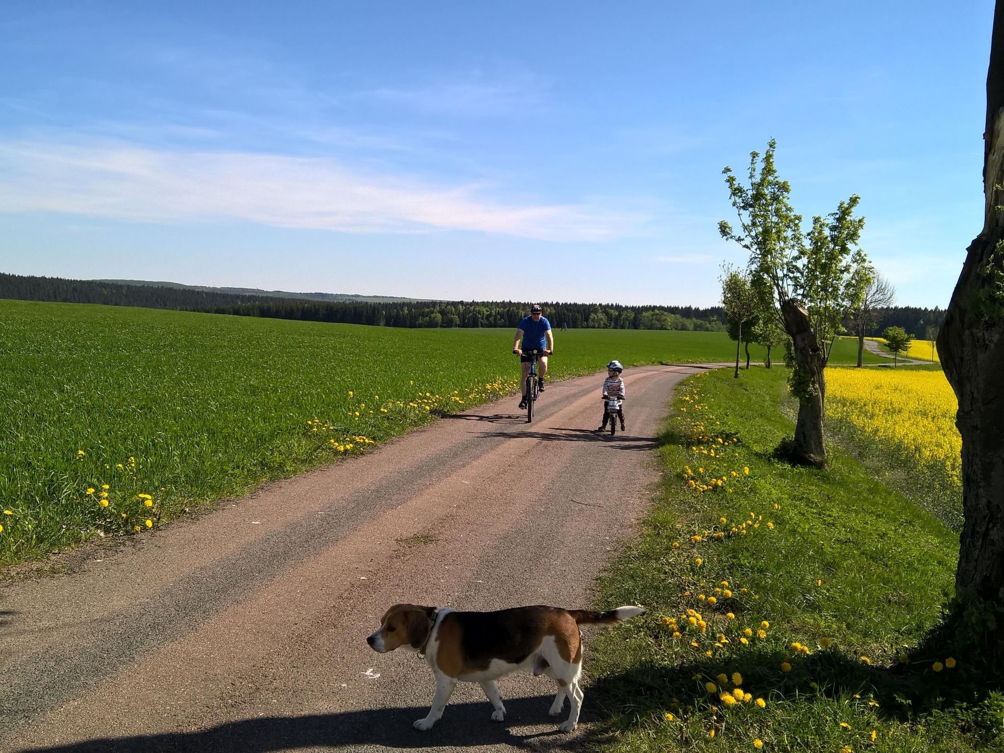 Kammbaude-Image-tags.info