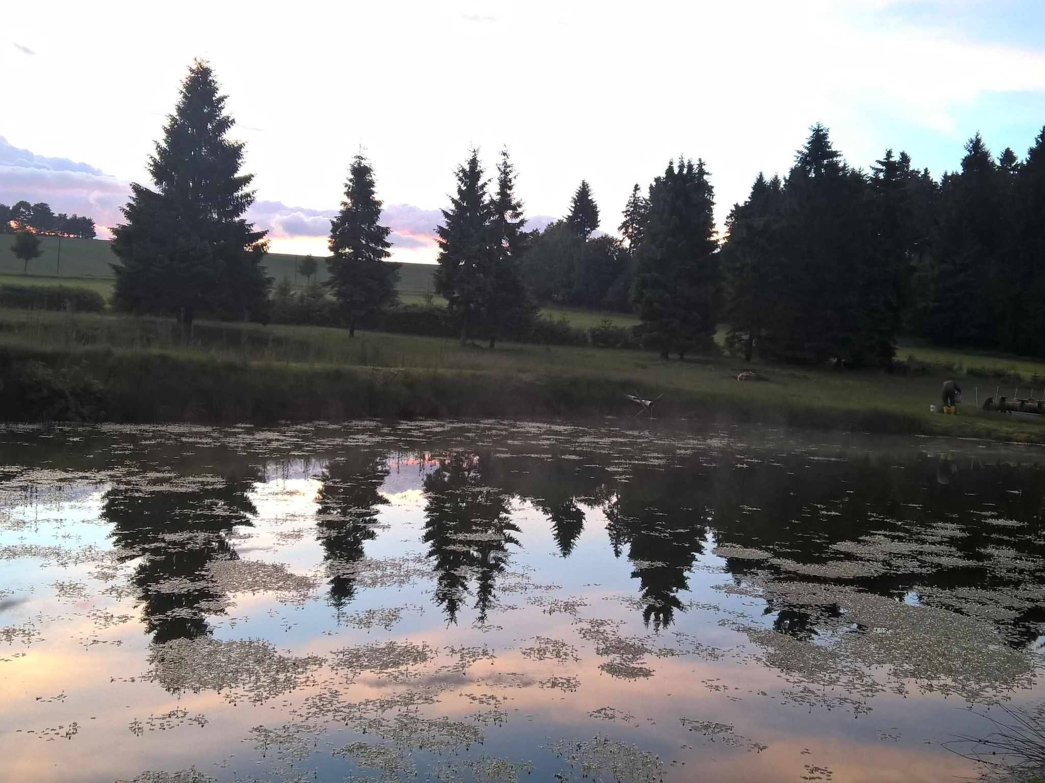 Kammbaude-Image-tags.info