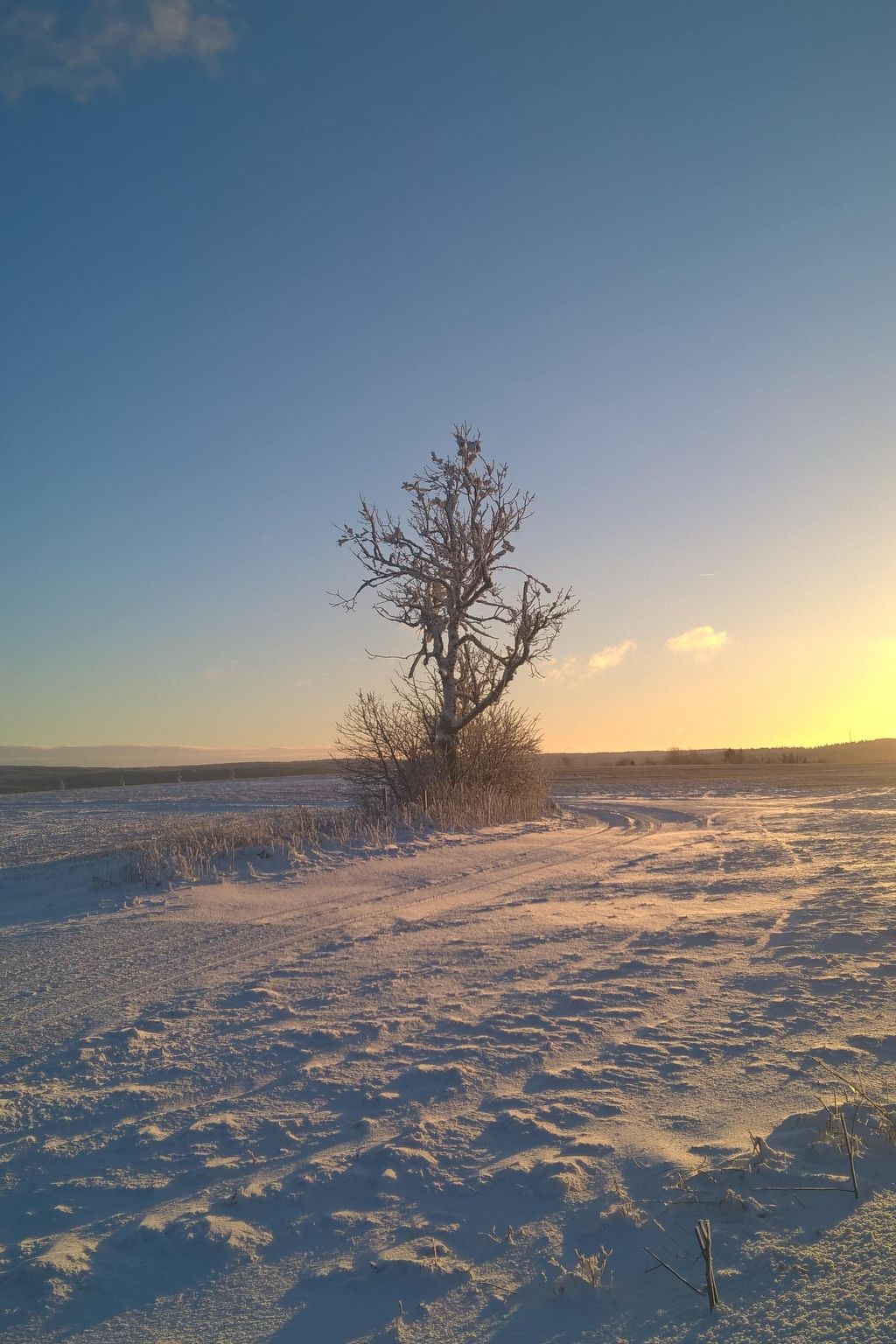 Kammbaude-Image-tags.info