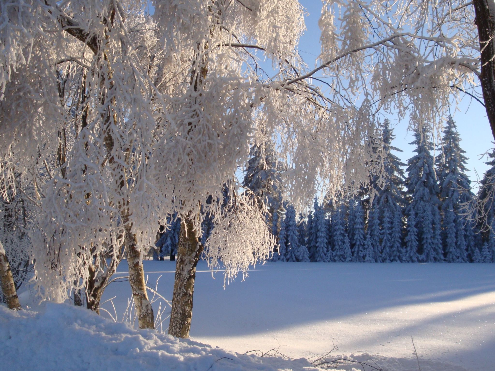 Vogtlandresidenz-Inside