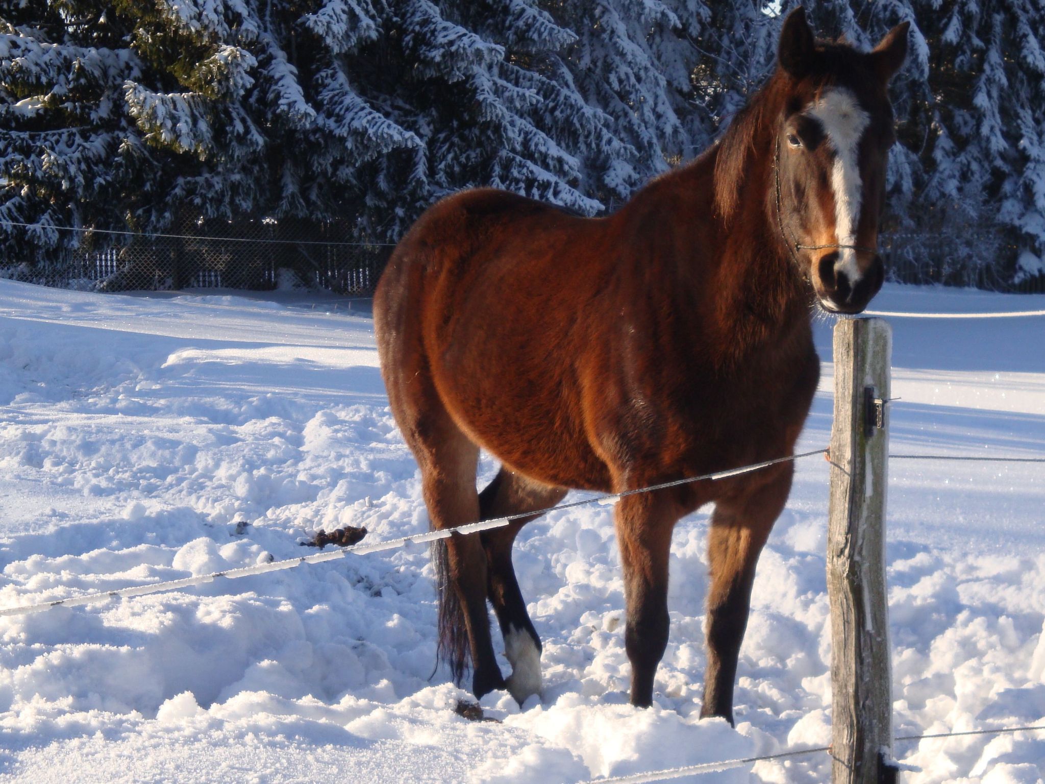 Vogtlandresidenz-Inside