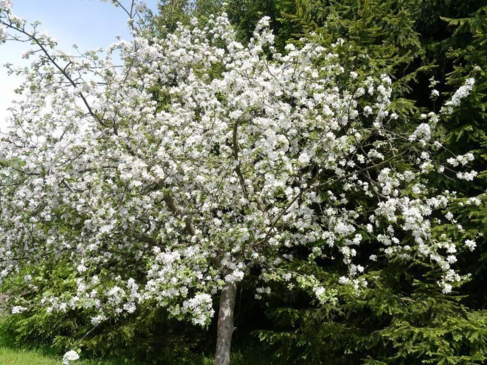 Gästehaus Siebert-Inside