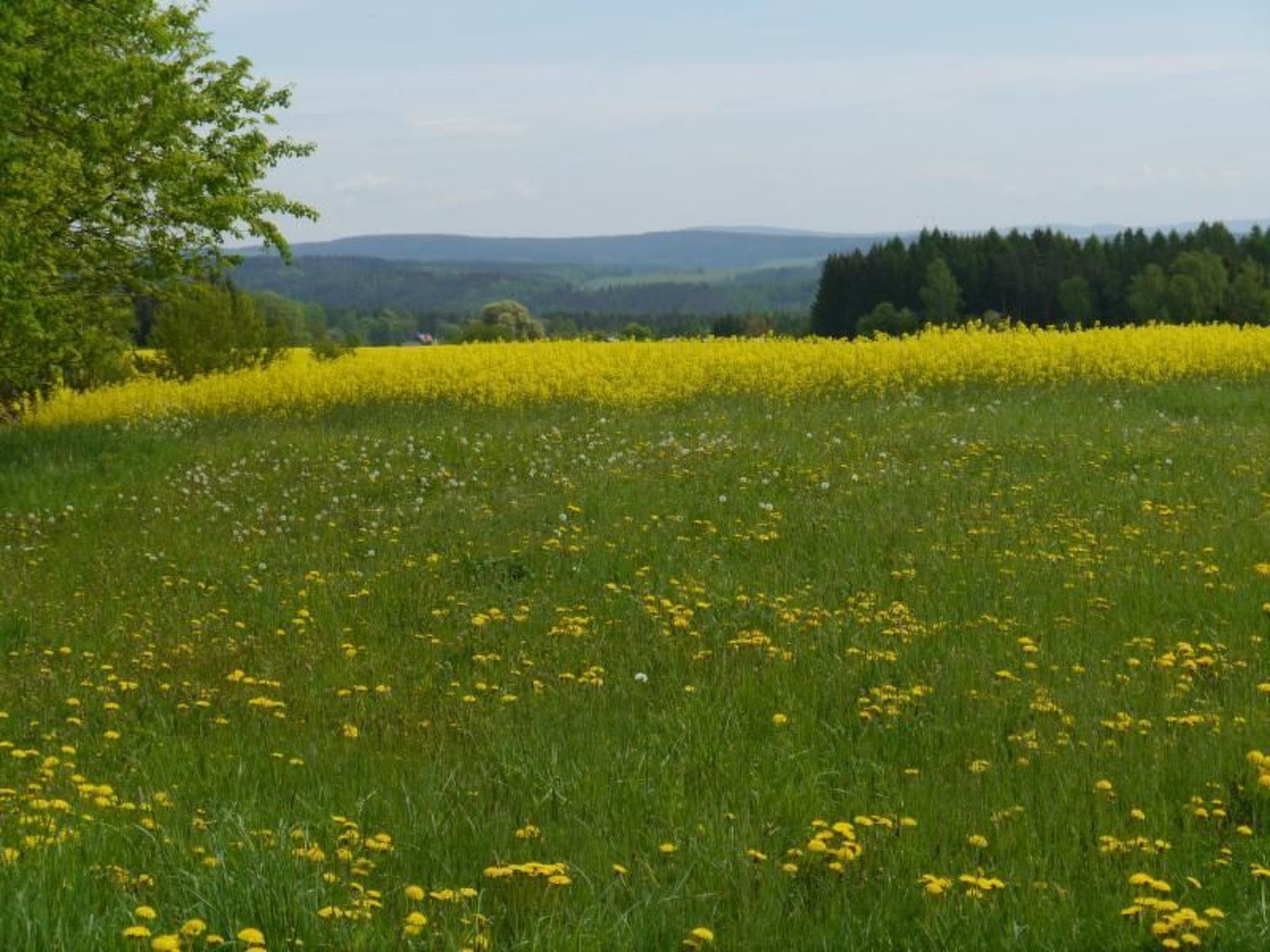 Gästehaus Siebert-Inside