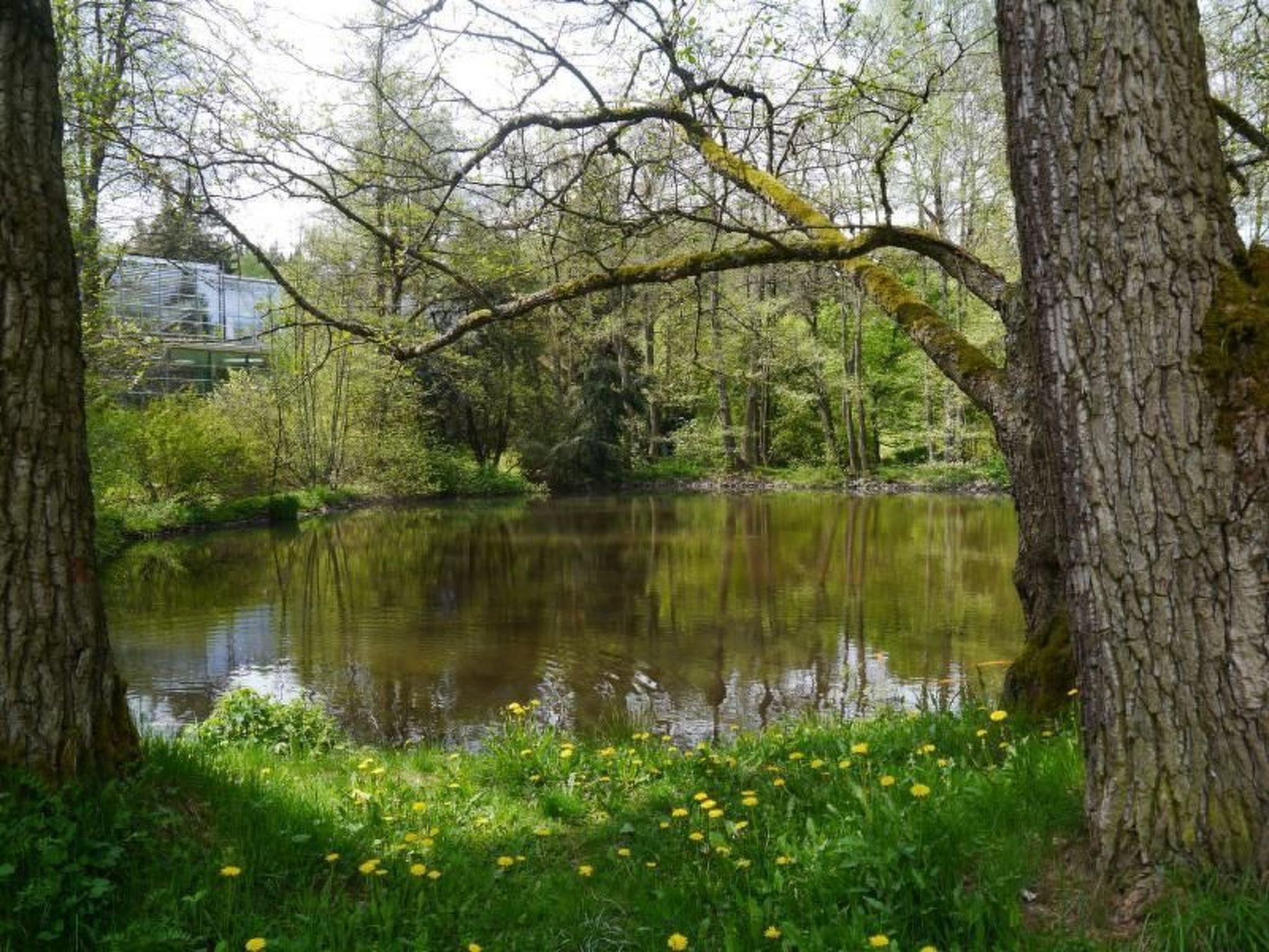 Gästehaus Siebert-Inside