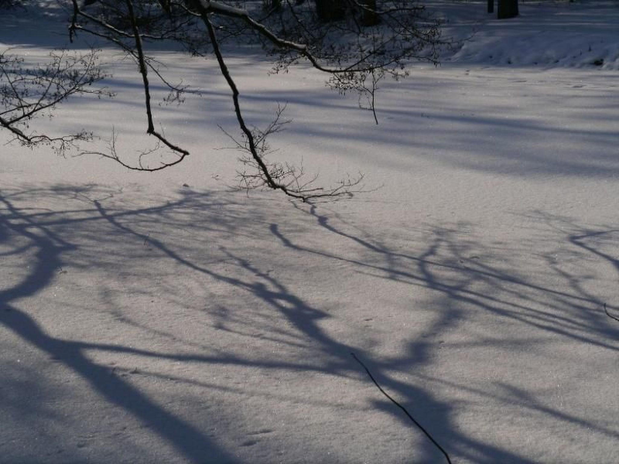 Gästehaus Siebert-Inside