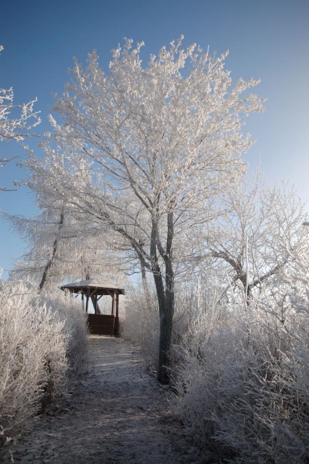Gästehaus Siebert-Inside