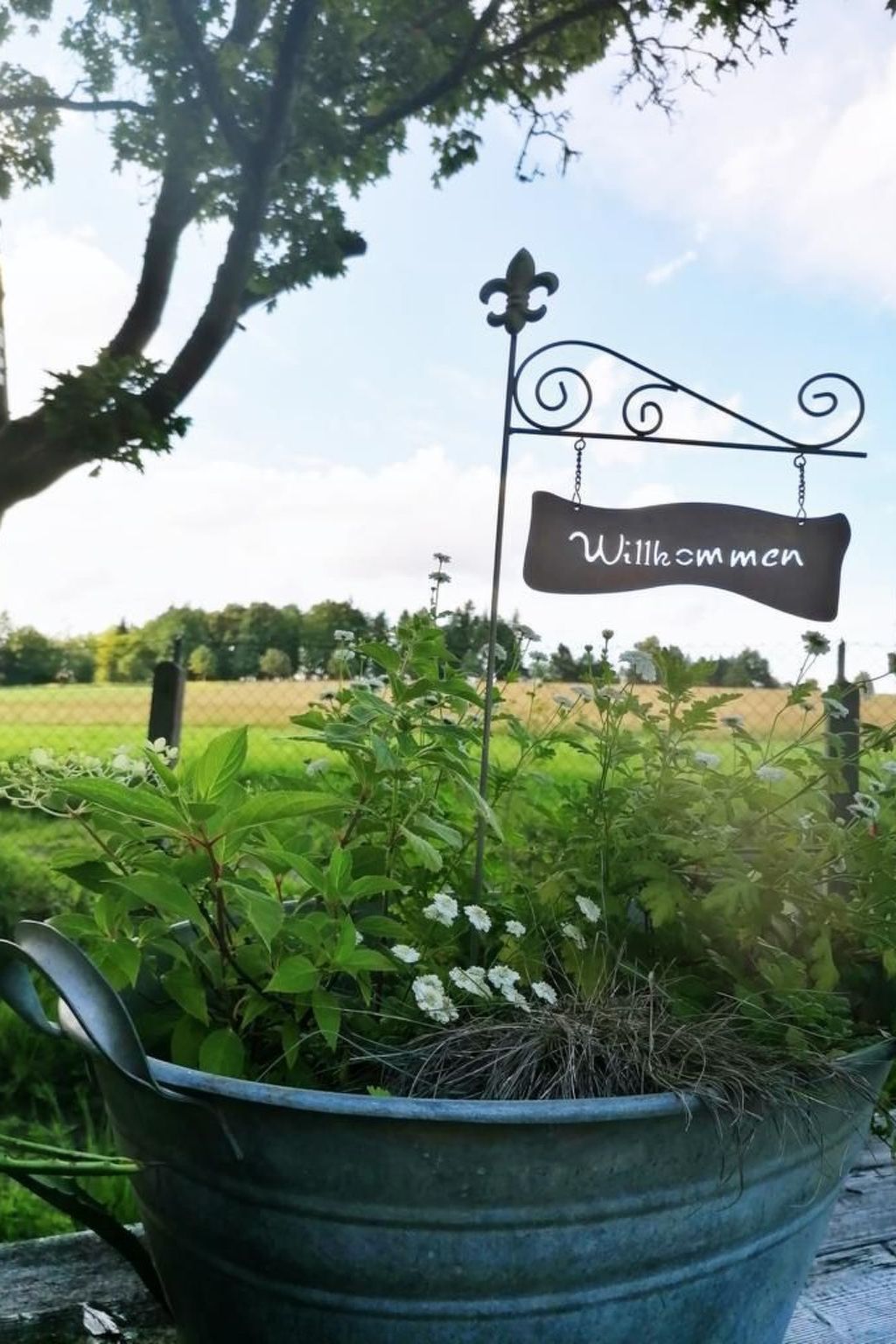 In Bad Brambach mit Großer Terrasse-Image-tags.info