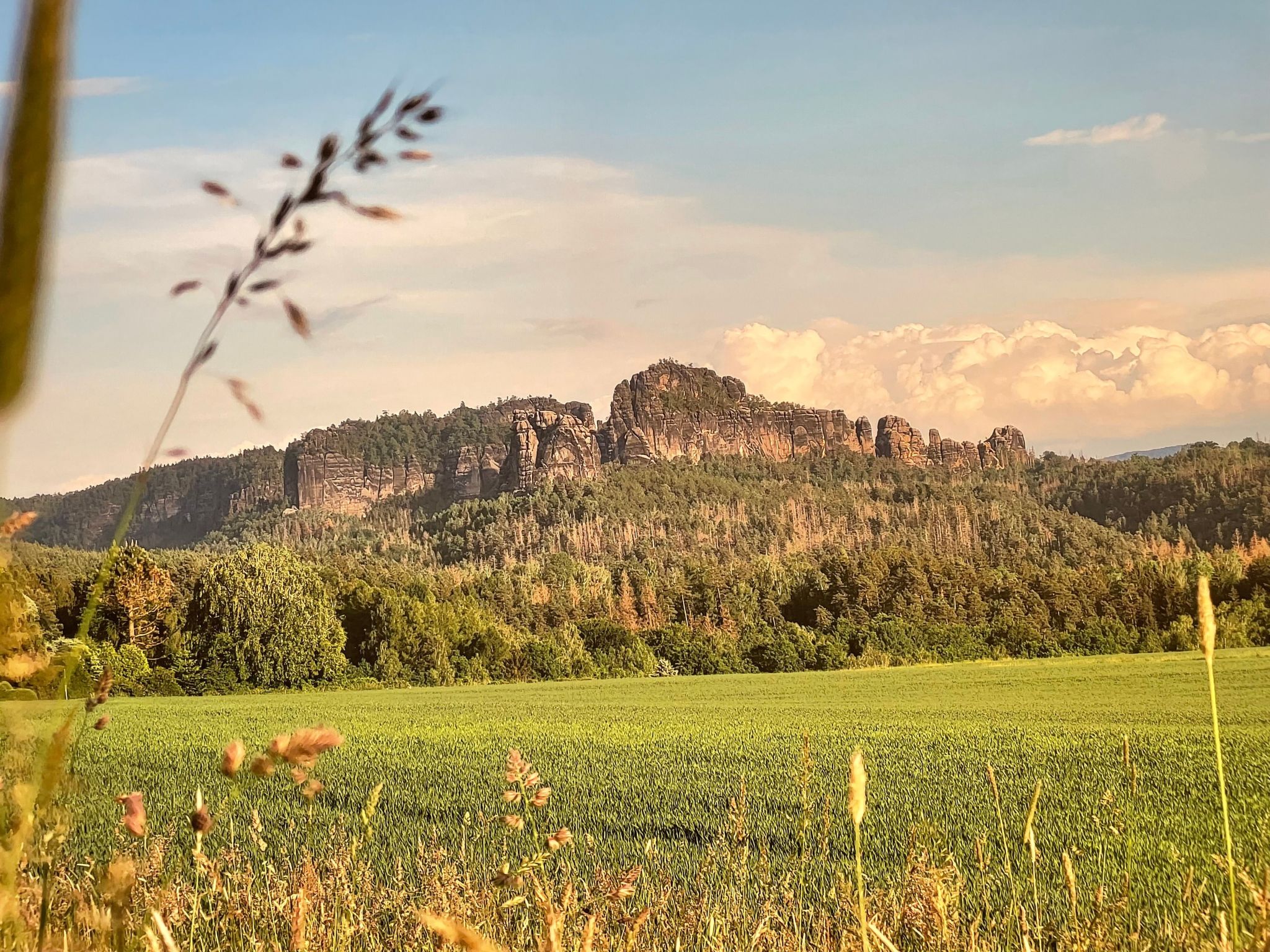 Apartment Wuff-Drinnen