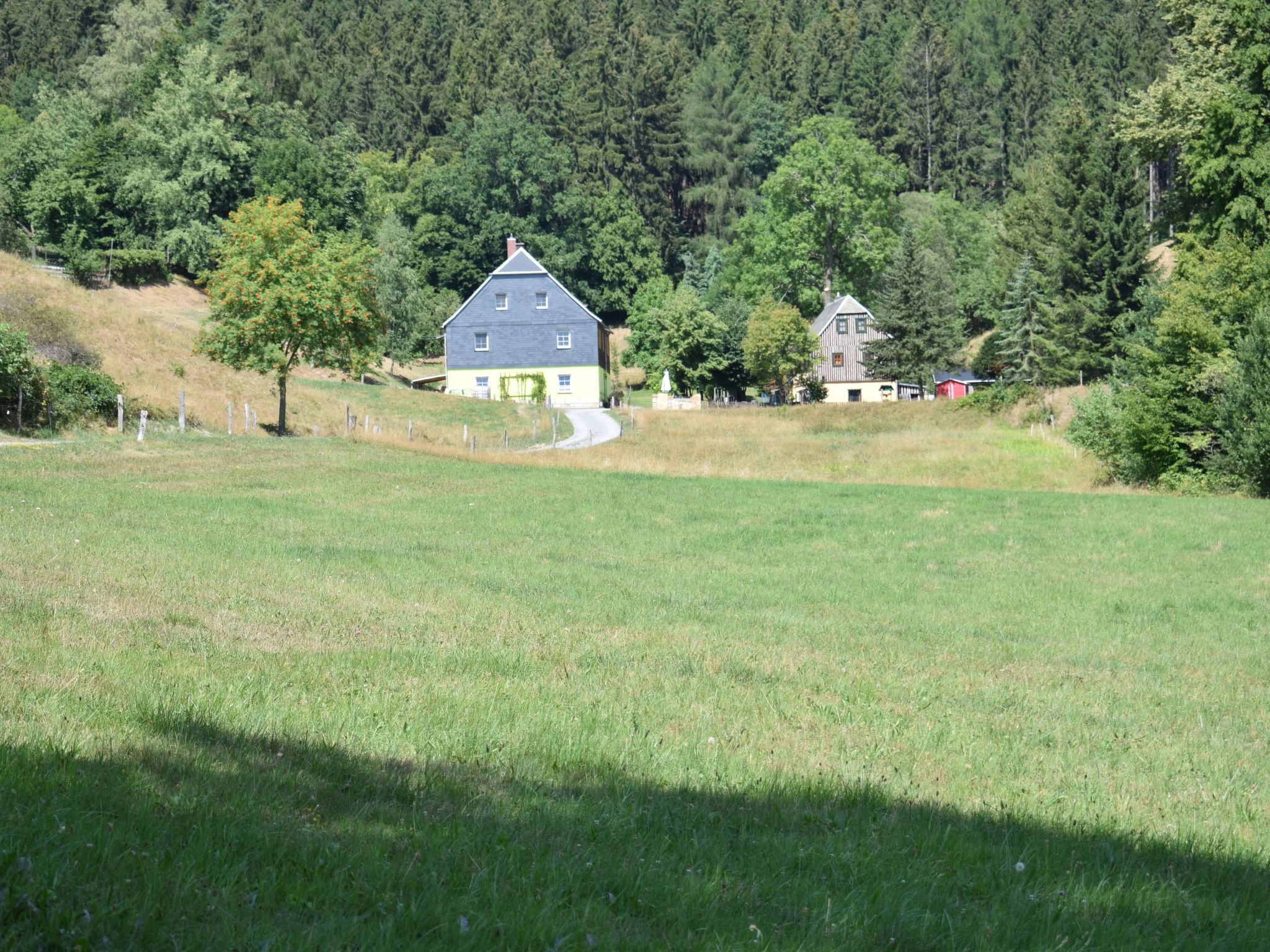 FW Waldmühle-Image-tags.info