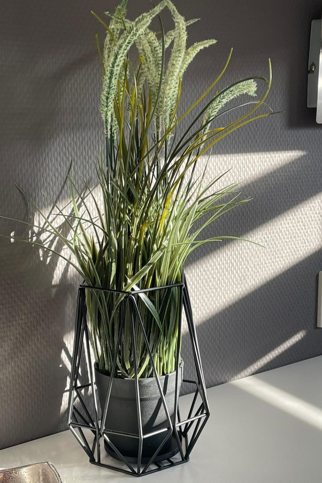 Hausboot Vroni am Bärwaldersee-Image-tags.info