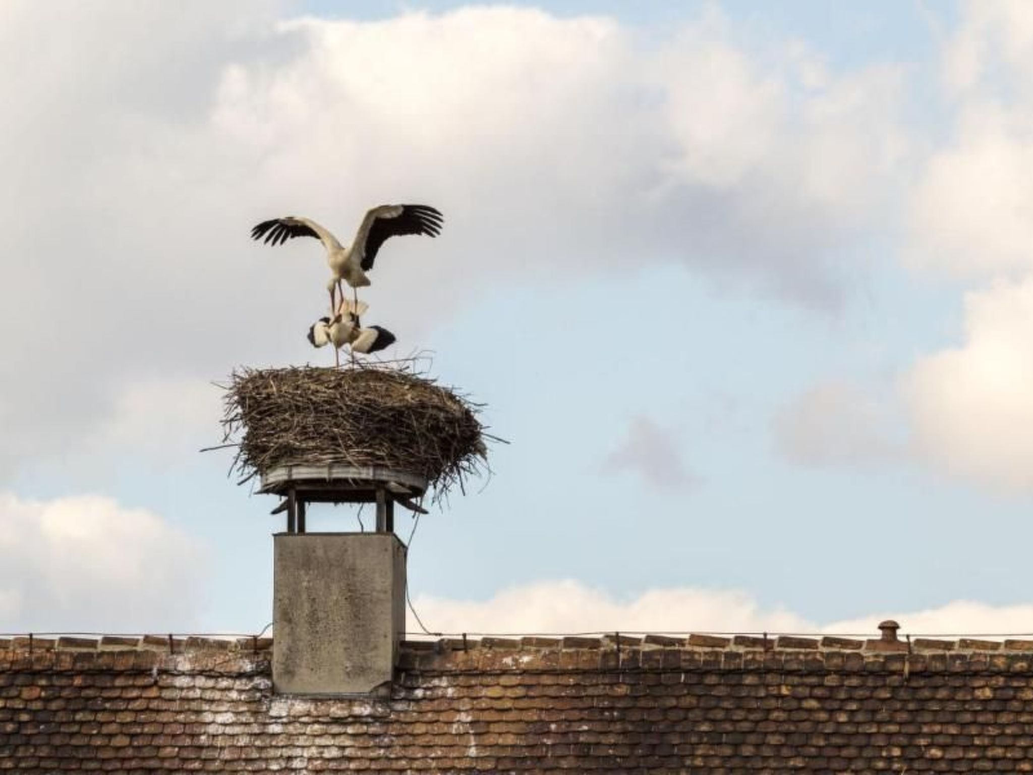 Mit Fasssauna-Buiten