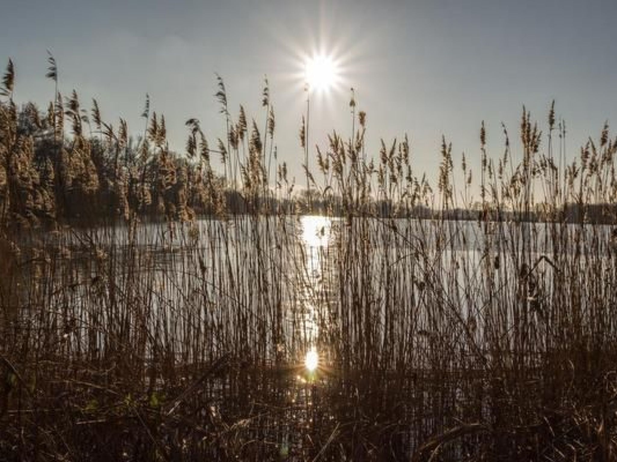 Mit Fasssauna-Buiten