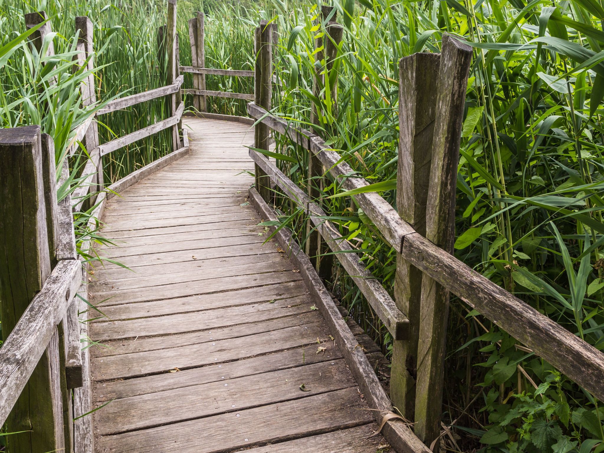 Mit Fasssauna-Buiten