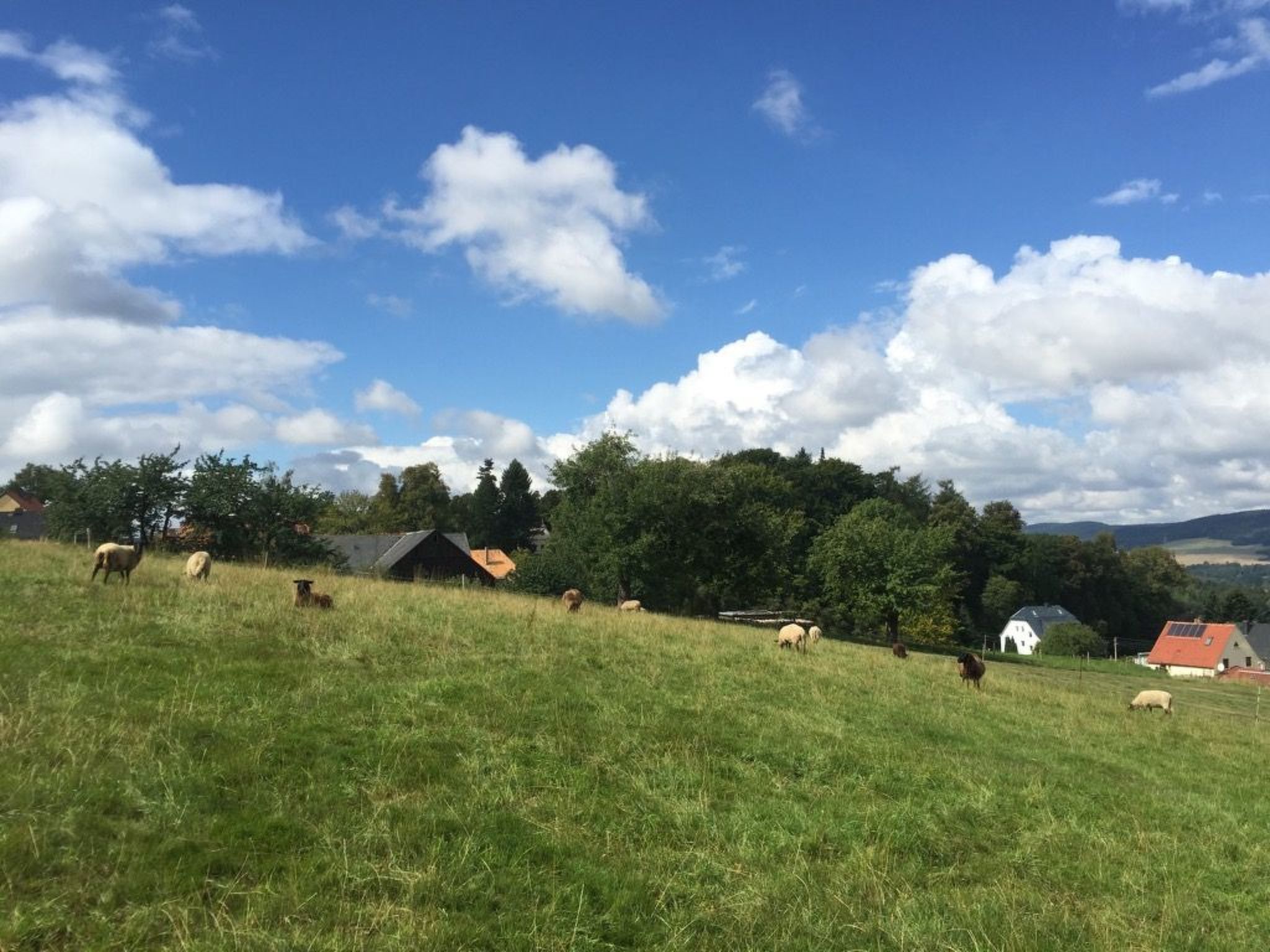 Helle und moderne Ferienwohnung mit Terrasse-Binnen