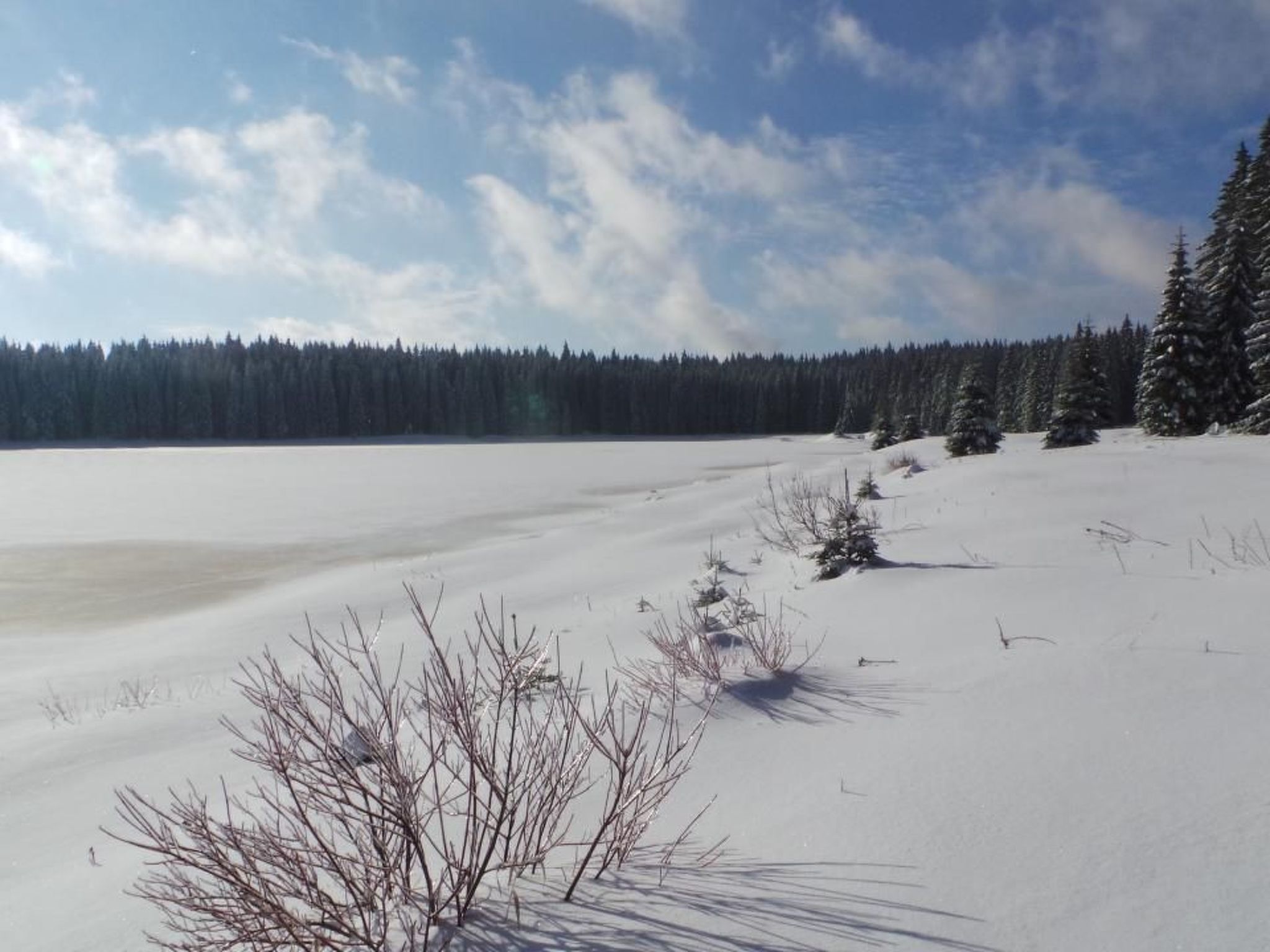 Fewo "Henneberg"-Image-tags.info