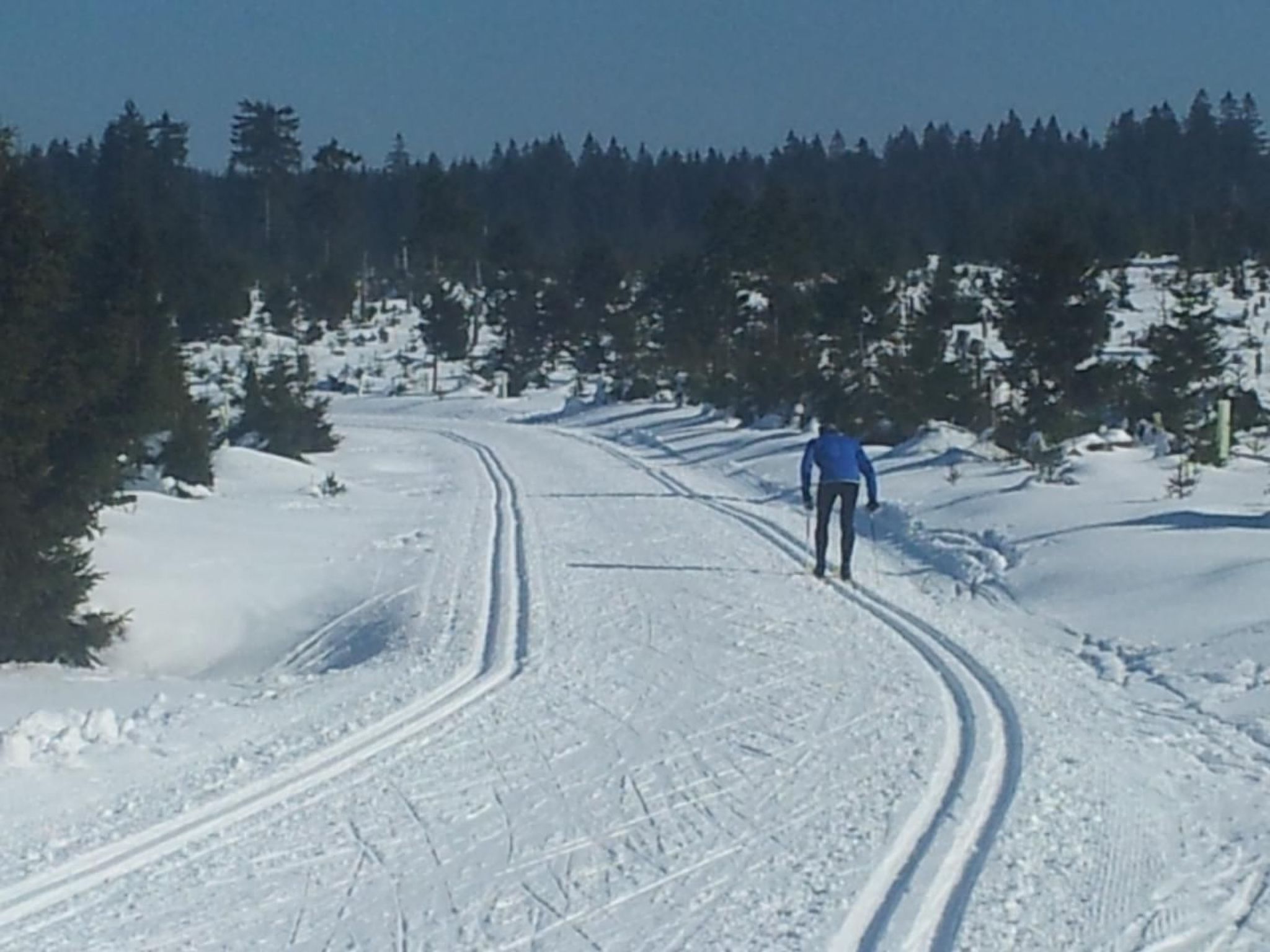 Fewo "Hirschkopf"-Image-tags.info