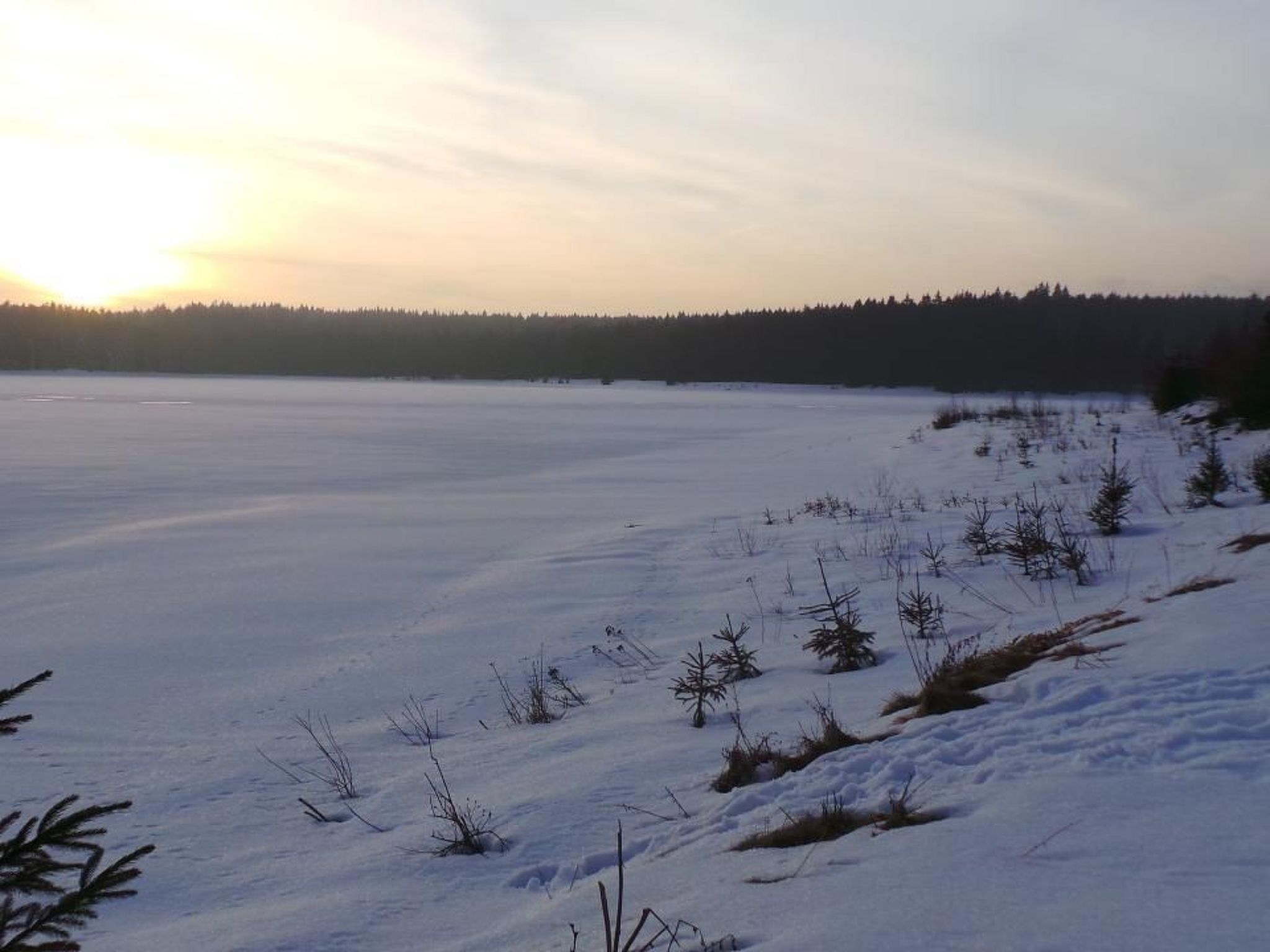 Fewo "Hirschkopf"-Image-tags.info