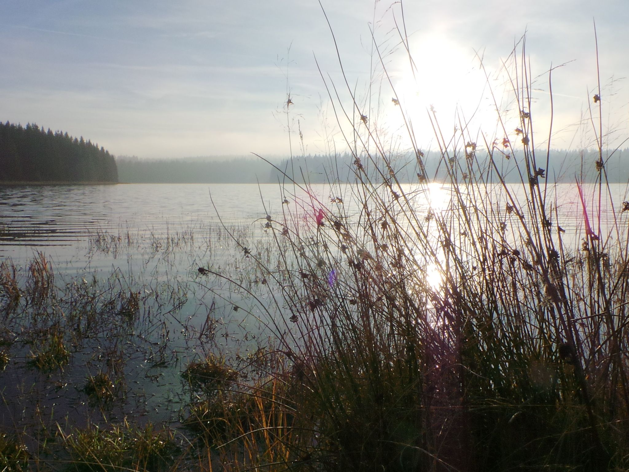 Fewo "Kranichsee WGH-Image-tags.info