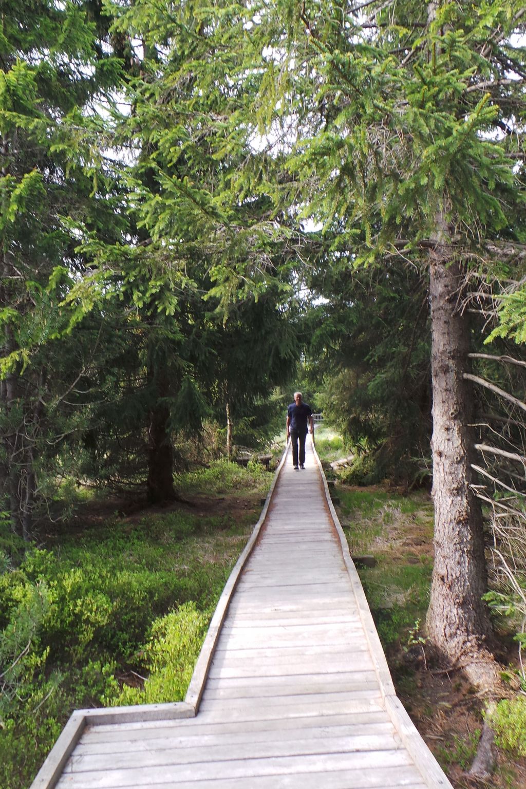 Fewo "Kranichsee WGH-Image-tags.info