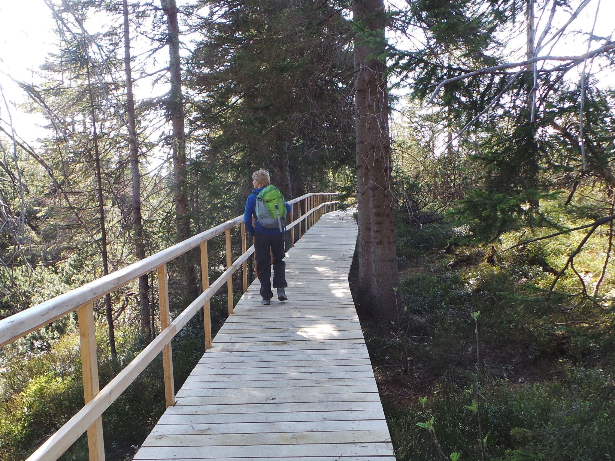 Fewo "Kranichsee WGH-Image-tags.info