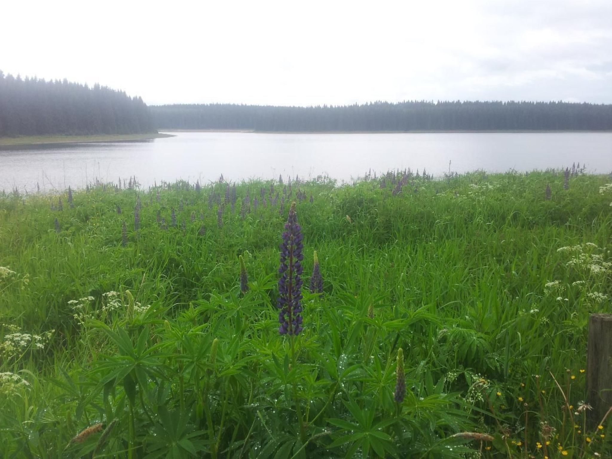 Fewo "Auersberg" WGH-Image-tags.info