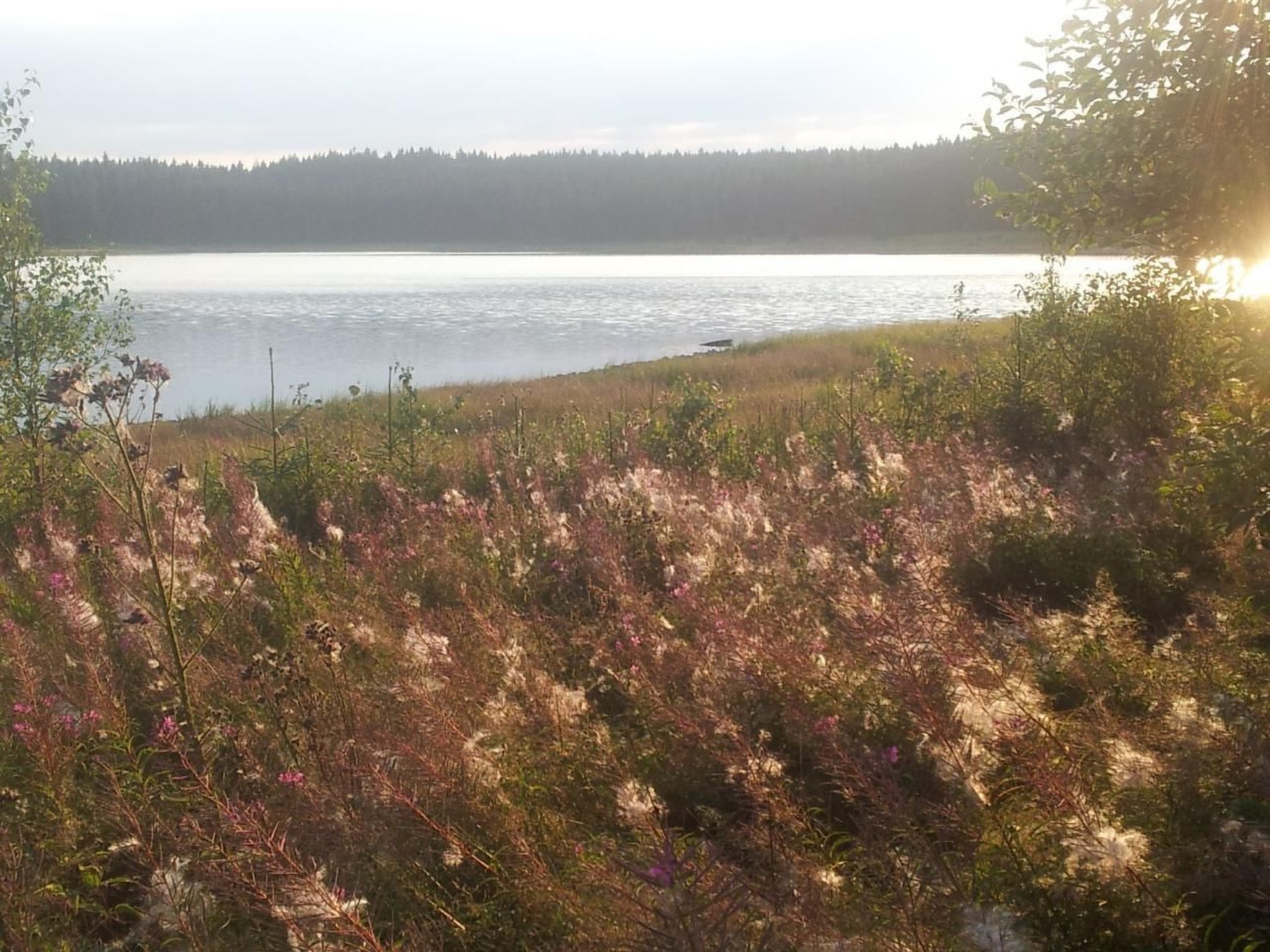 Fewo "Auersberg" WGH-Image-tags.info