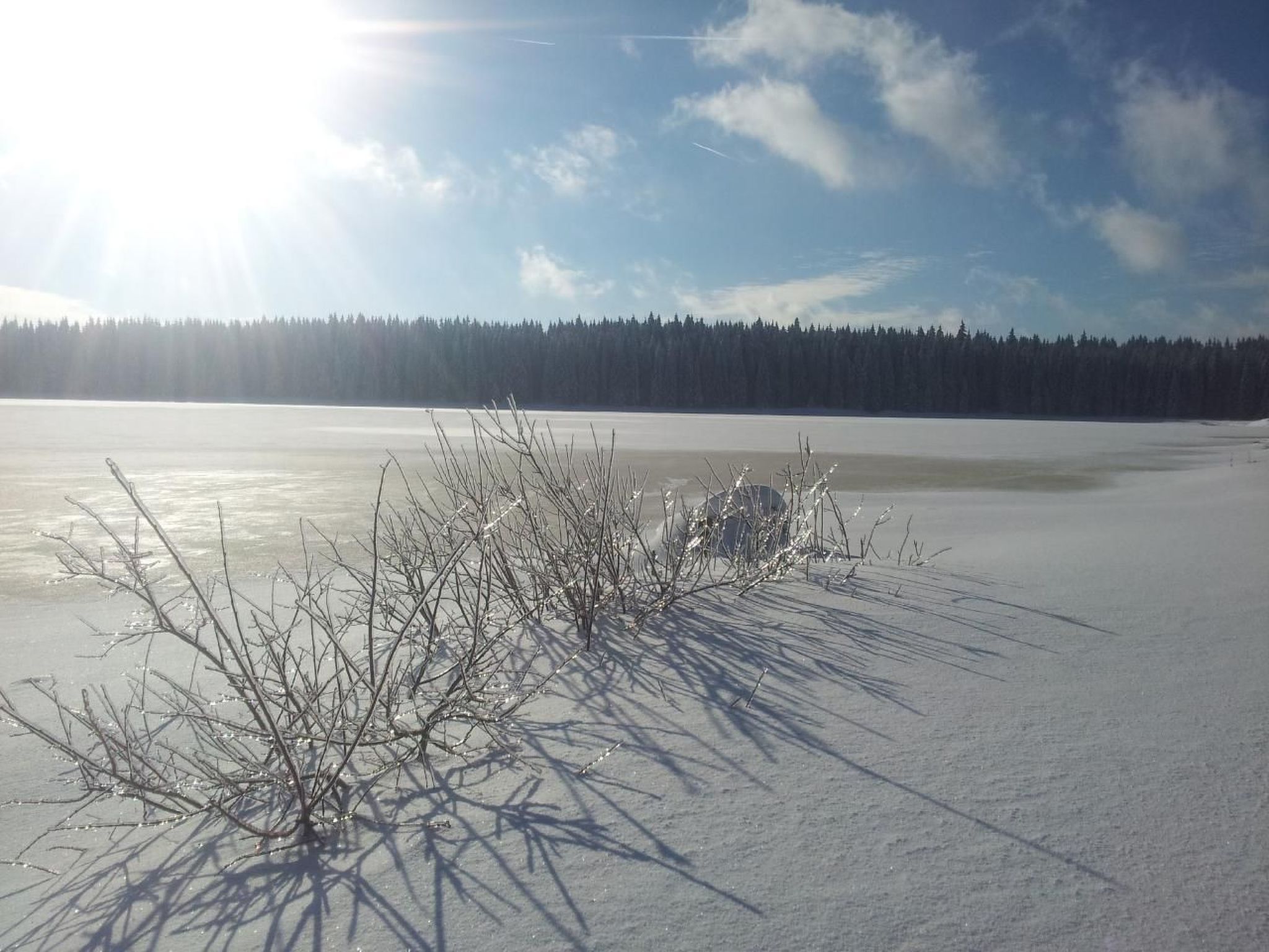 Fewo "Auersberg" WGH-Image-tags.info