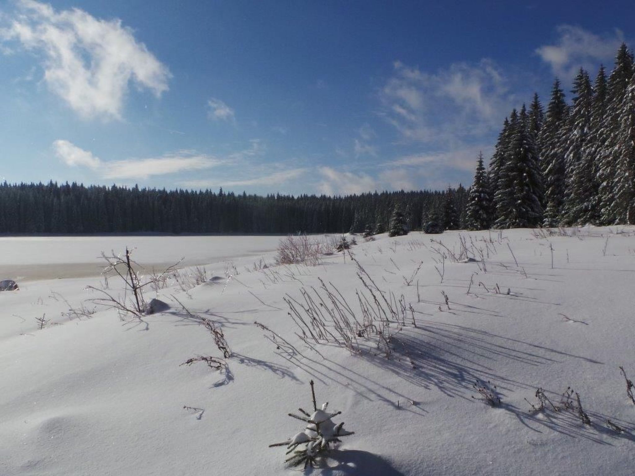 Fewo "Am Skihang OG"-Image-tags.info