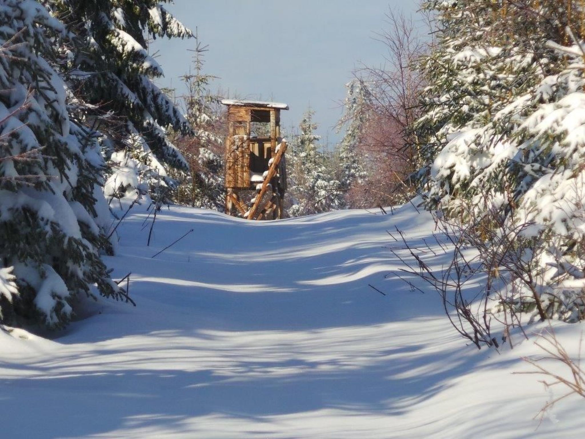 Fewo "Am Skihang OG"-Image-tags.info