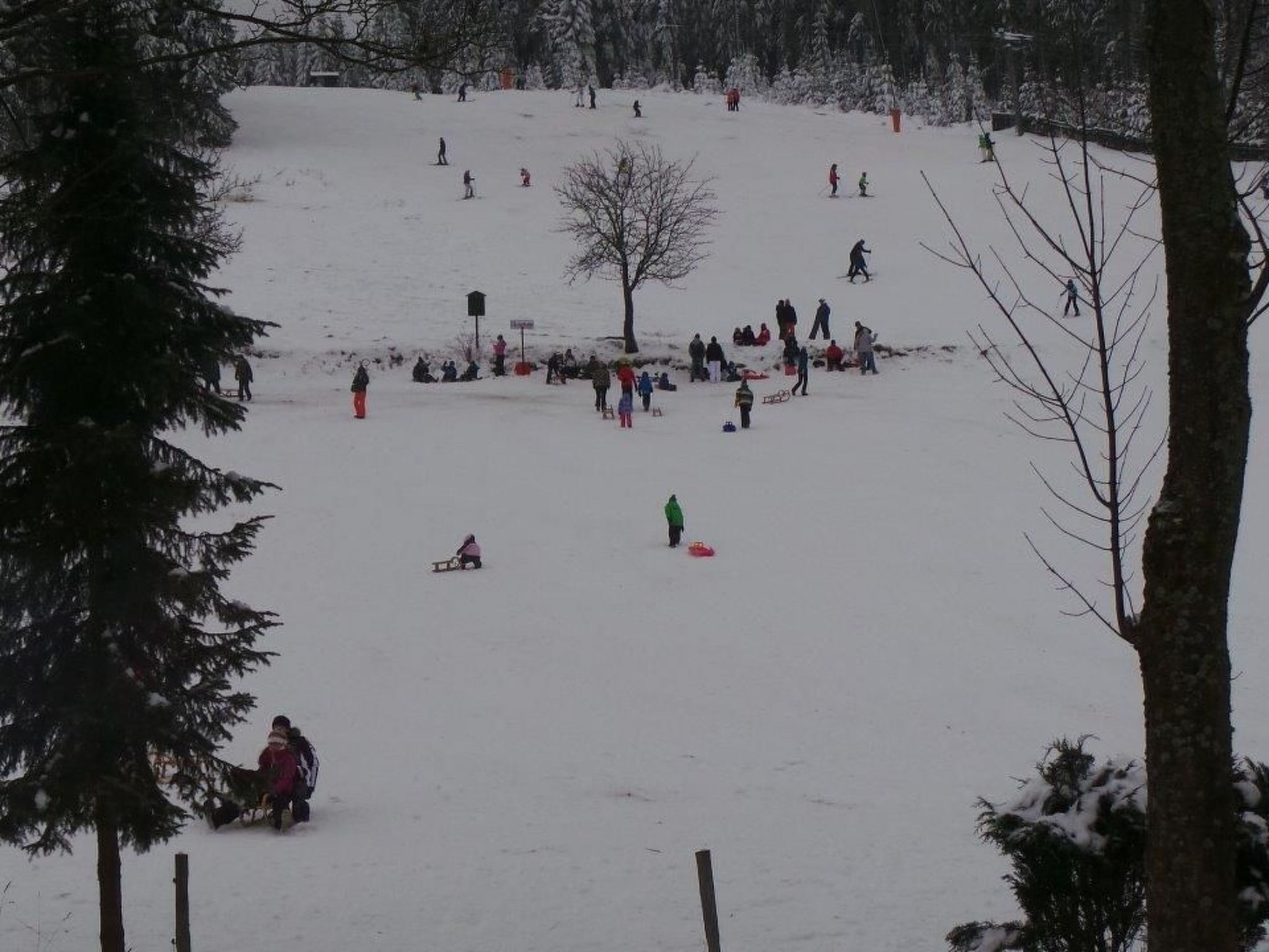 Fewo "Am Skihang OG"-Image-tags.info