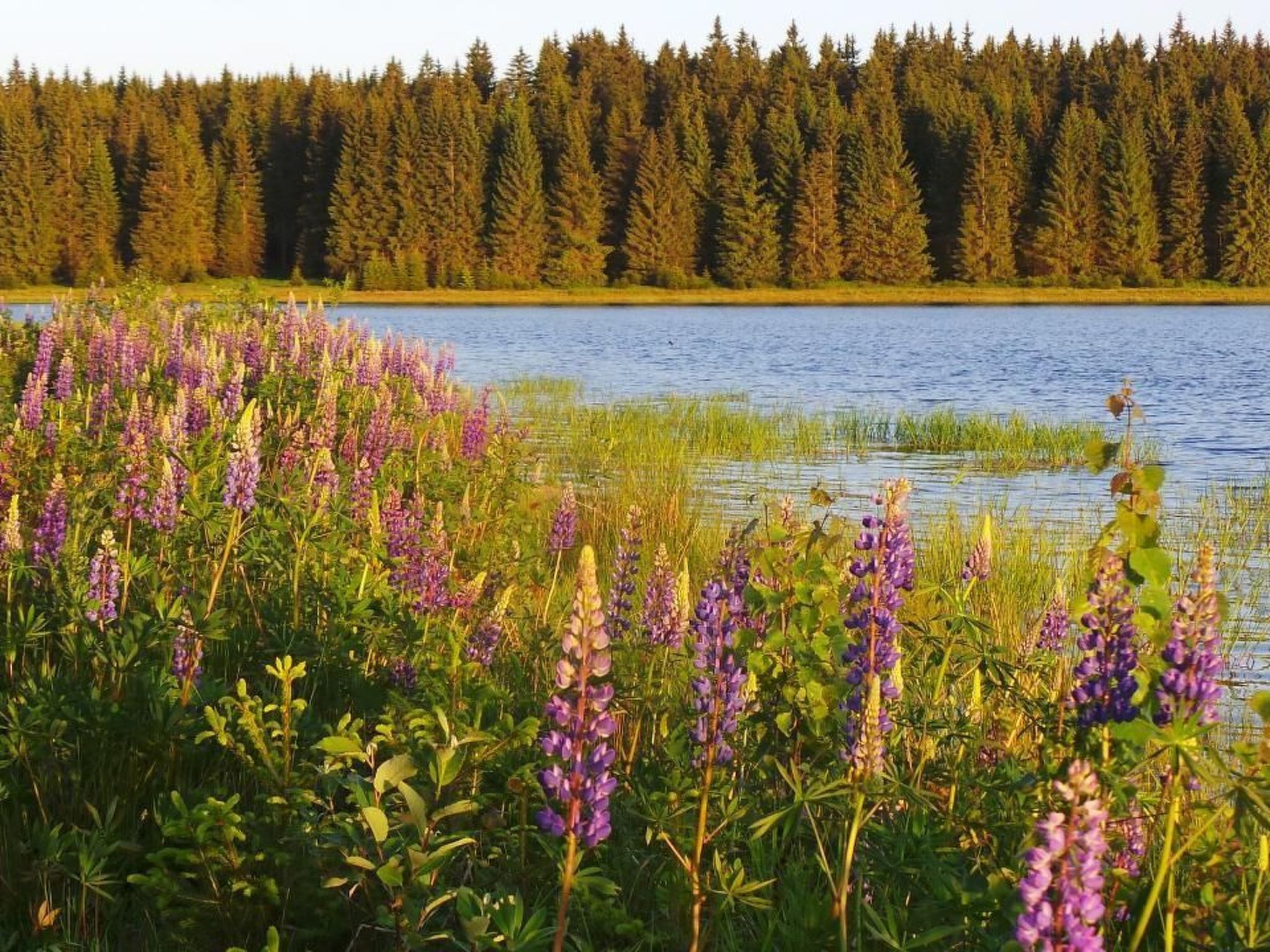 Fewo "Am Skihang OG"-Image-tags.info