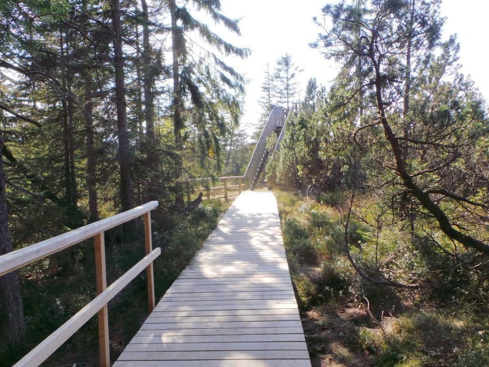 Fewo "Am Skihang OG"-Image-tags.info