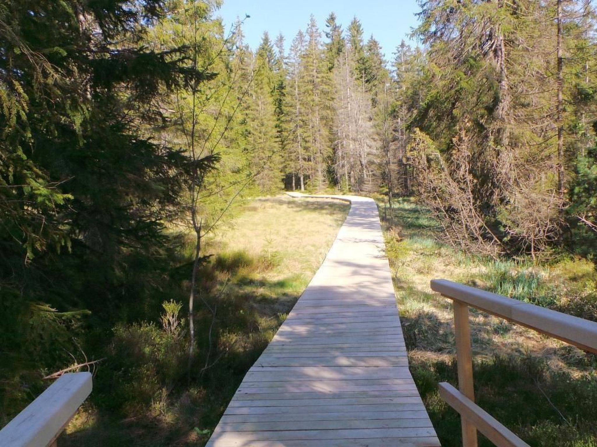 Fewo "Am Skihang OG"-Image-tags.info