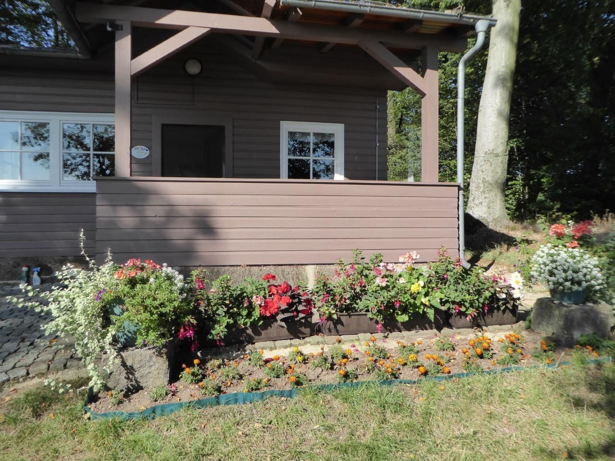 Mit Blick auf die Berge-Dedans