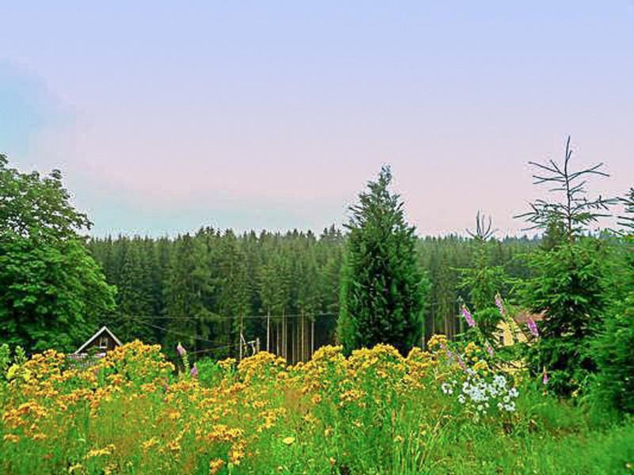 Appartement mit Bergblick-Inside