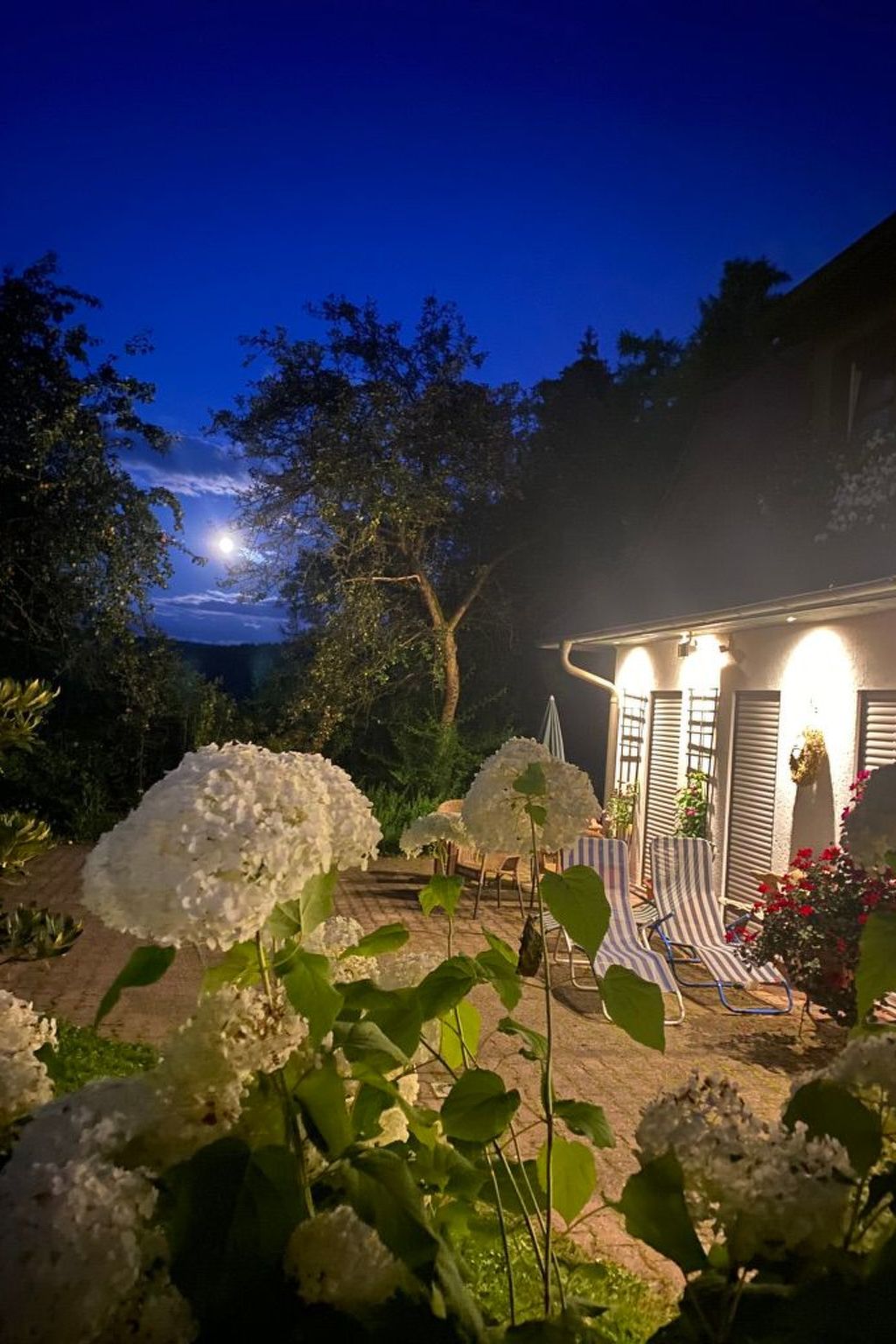 Geräumige Wohnung in Bad Elster mit Terrasse, Garten und Grill-Image-tags.info