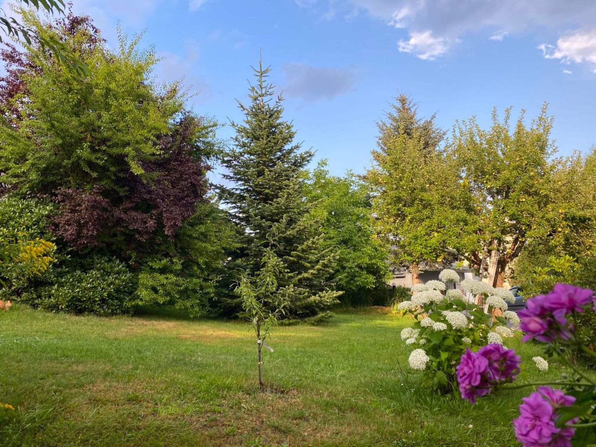 Geräumige Wohnung in Bad Elster mit Terrasse, Garten und Grill-Outside