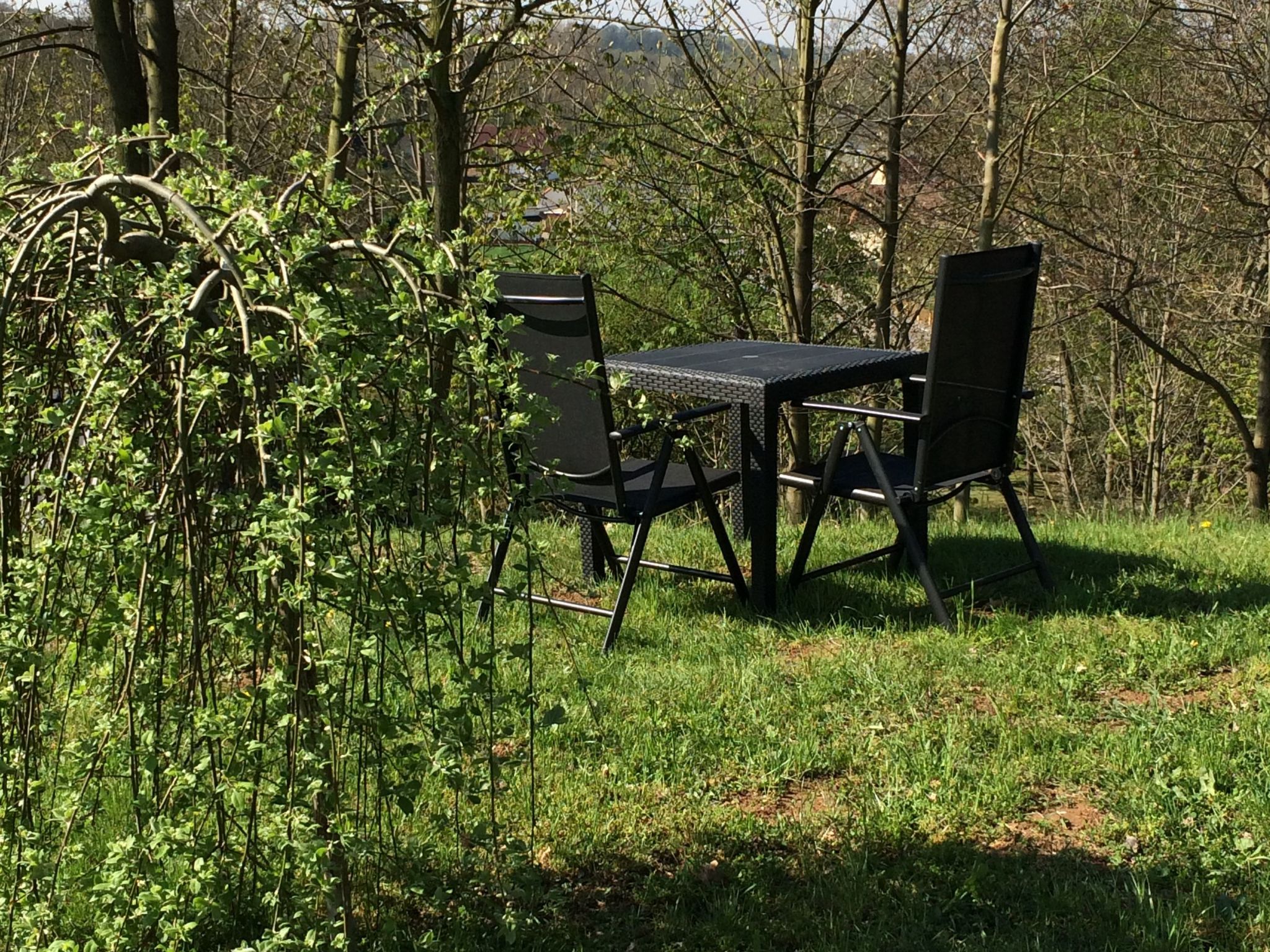 Pleissenhaus-Image-tags.info